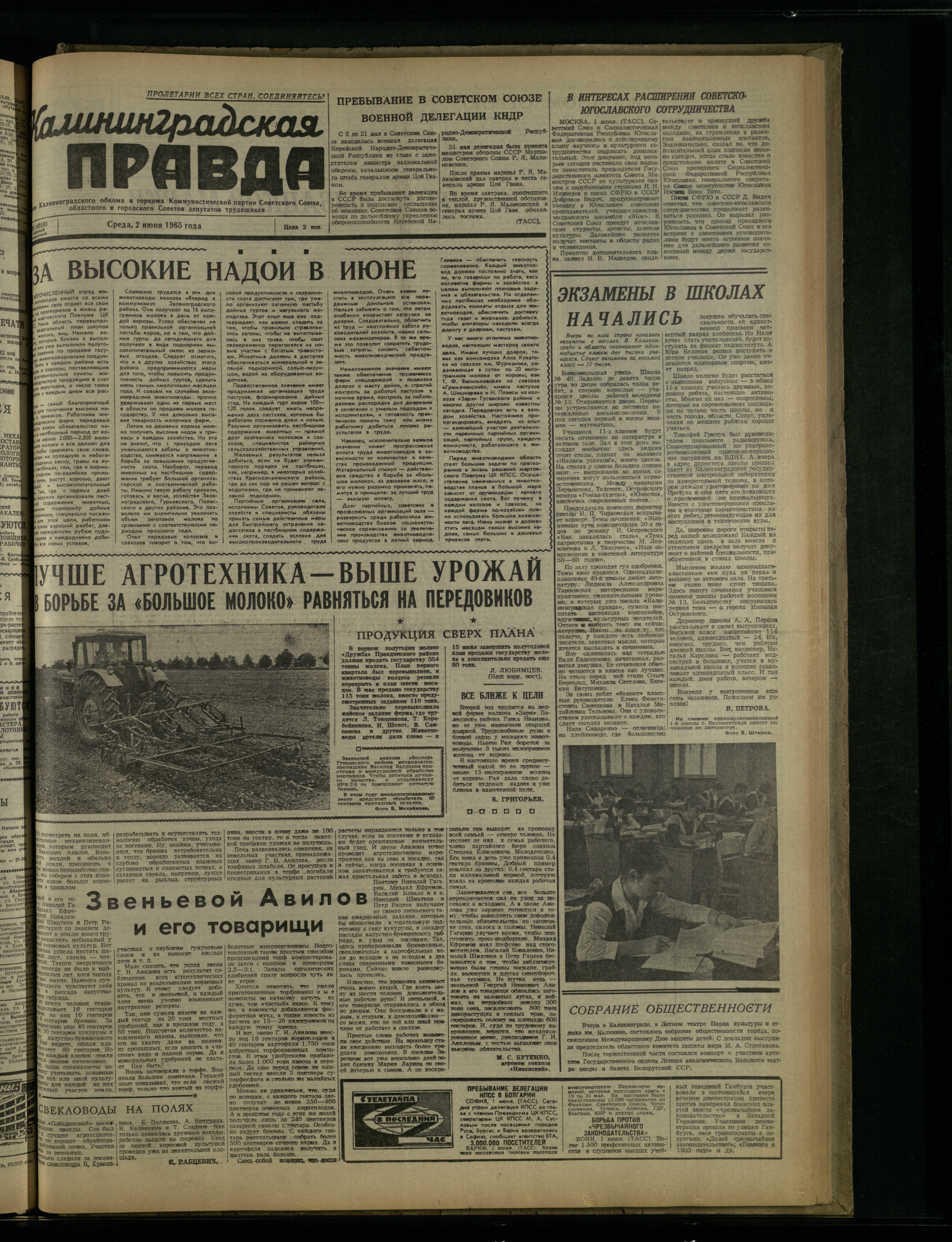 128-6-65-1