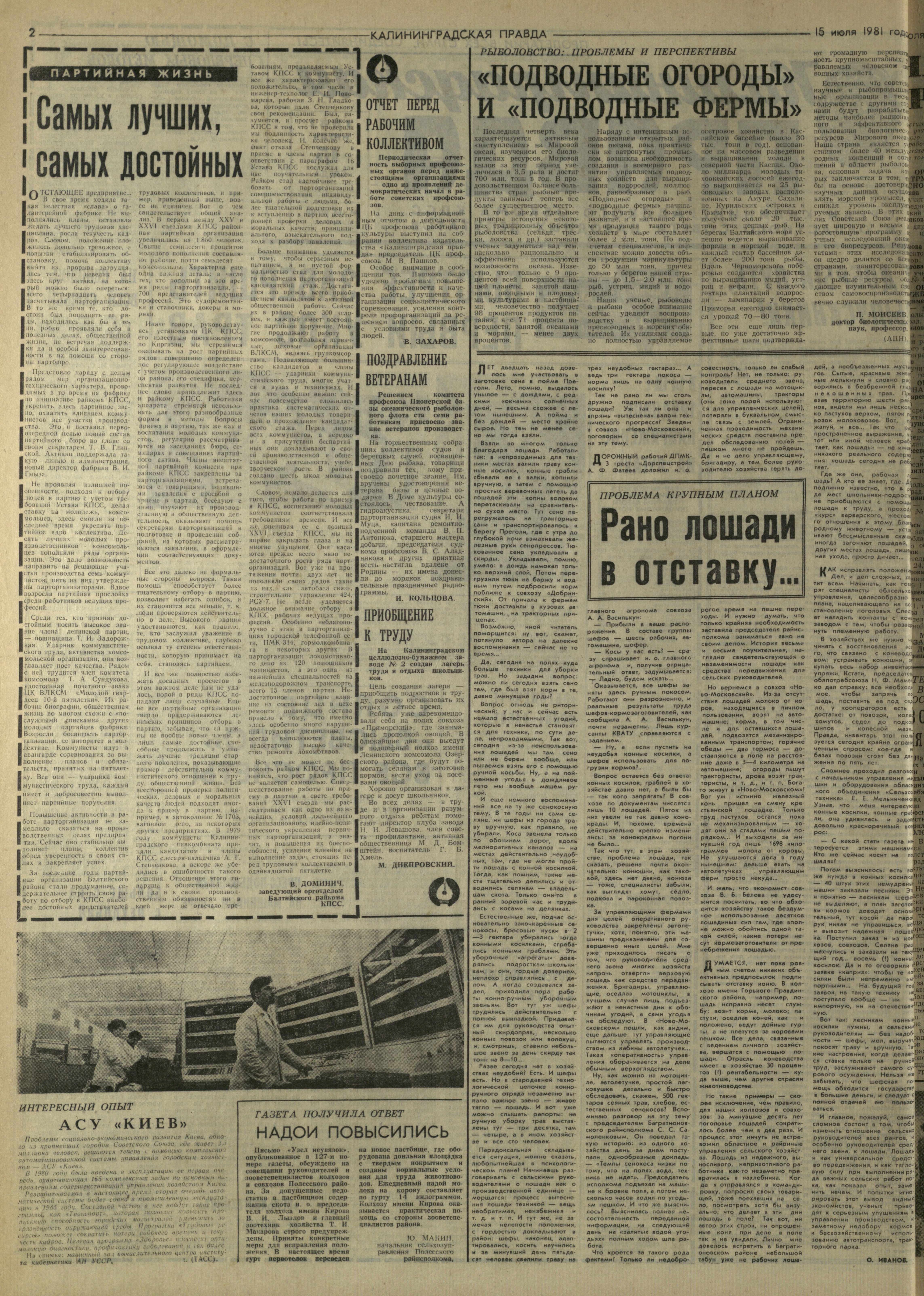 161-7-81-2