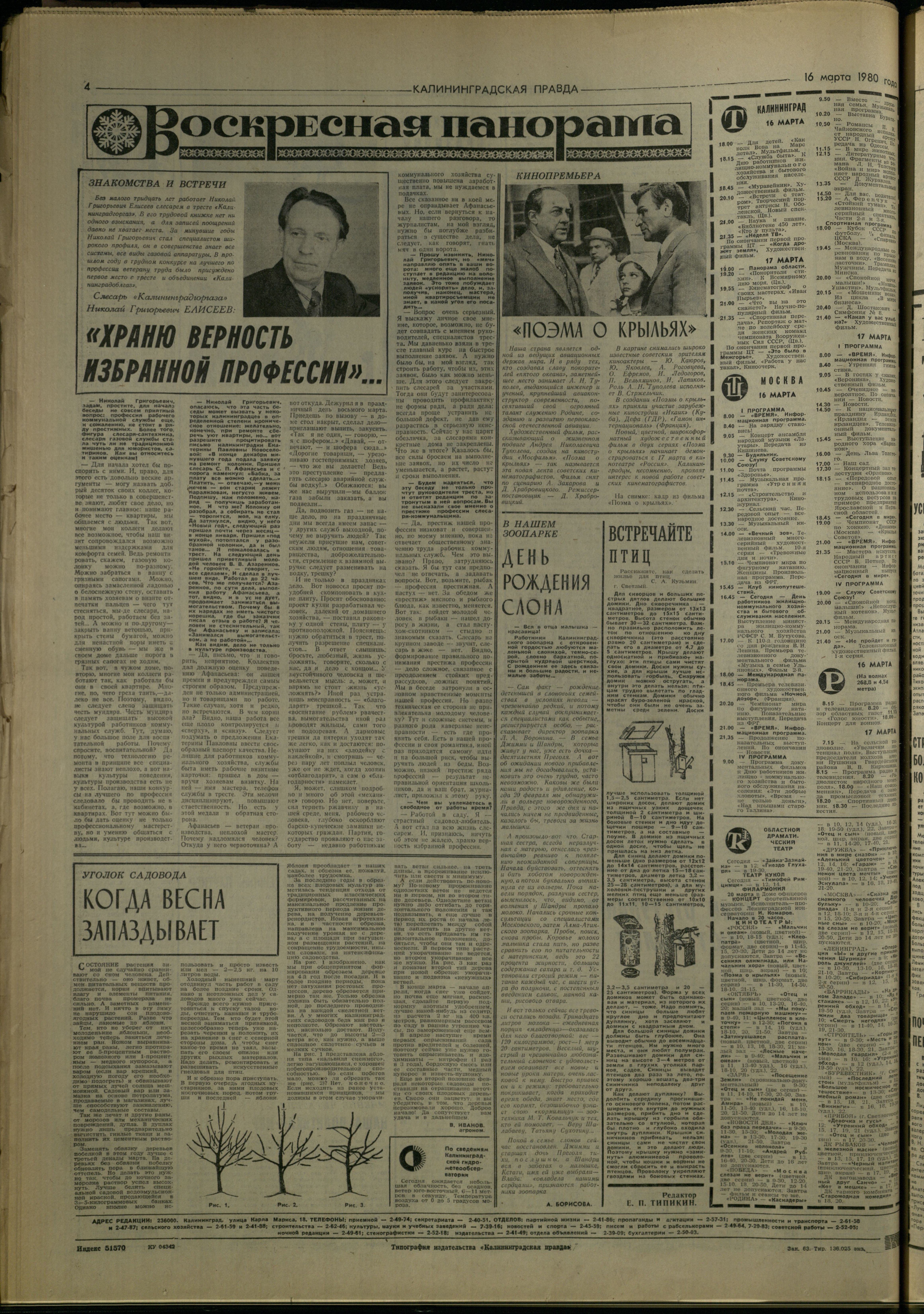 63-3-80-4