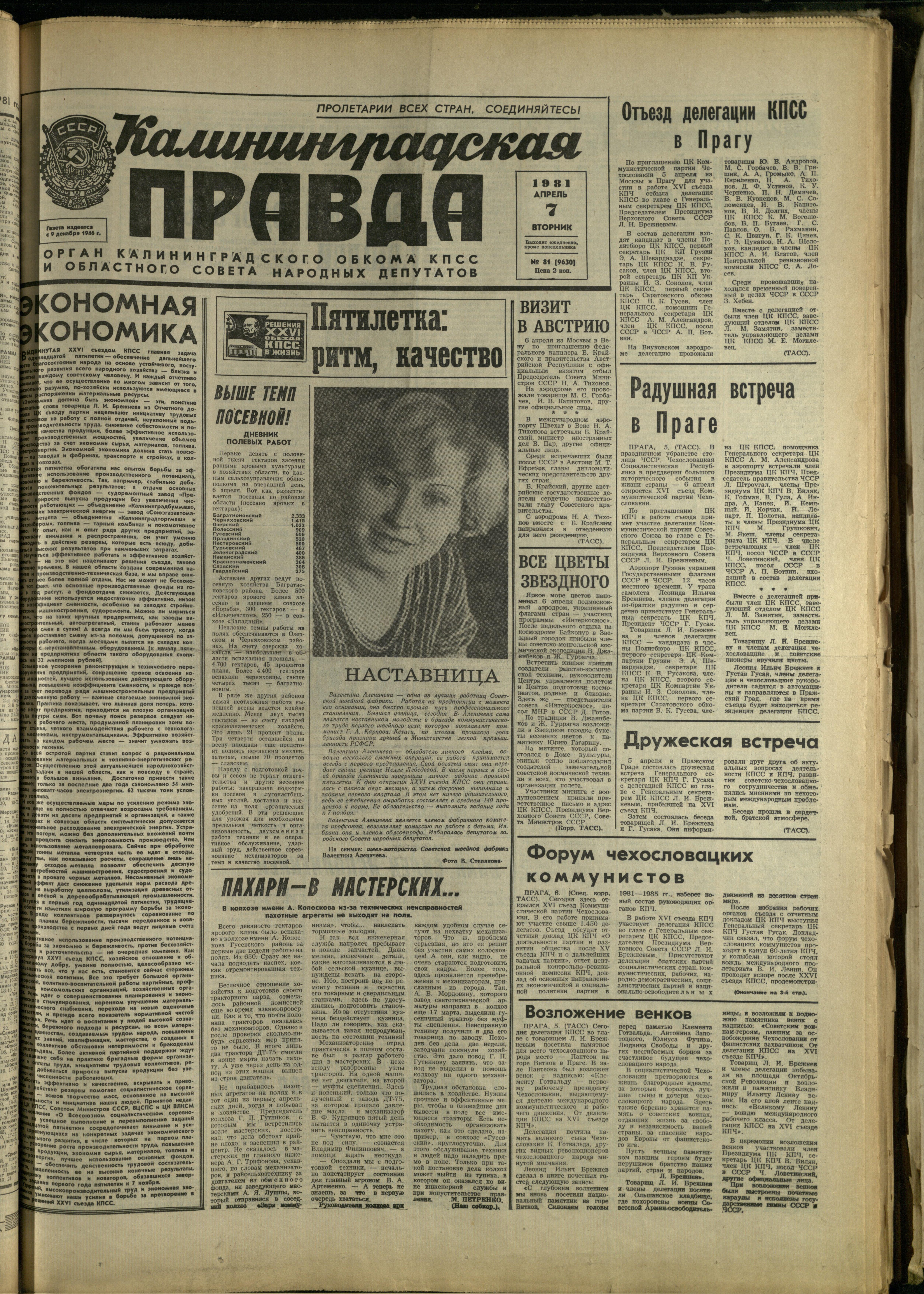81-4-81-1
