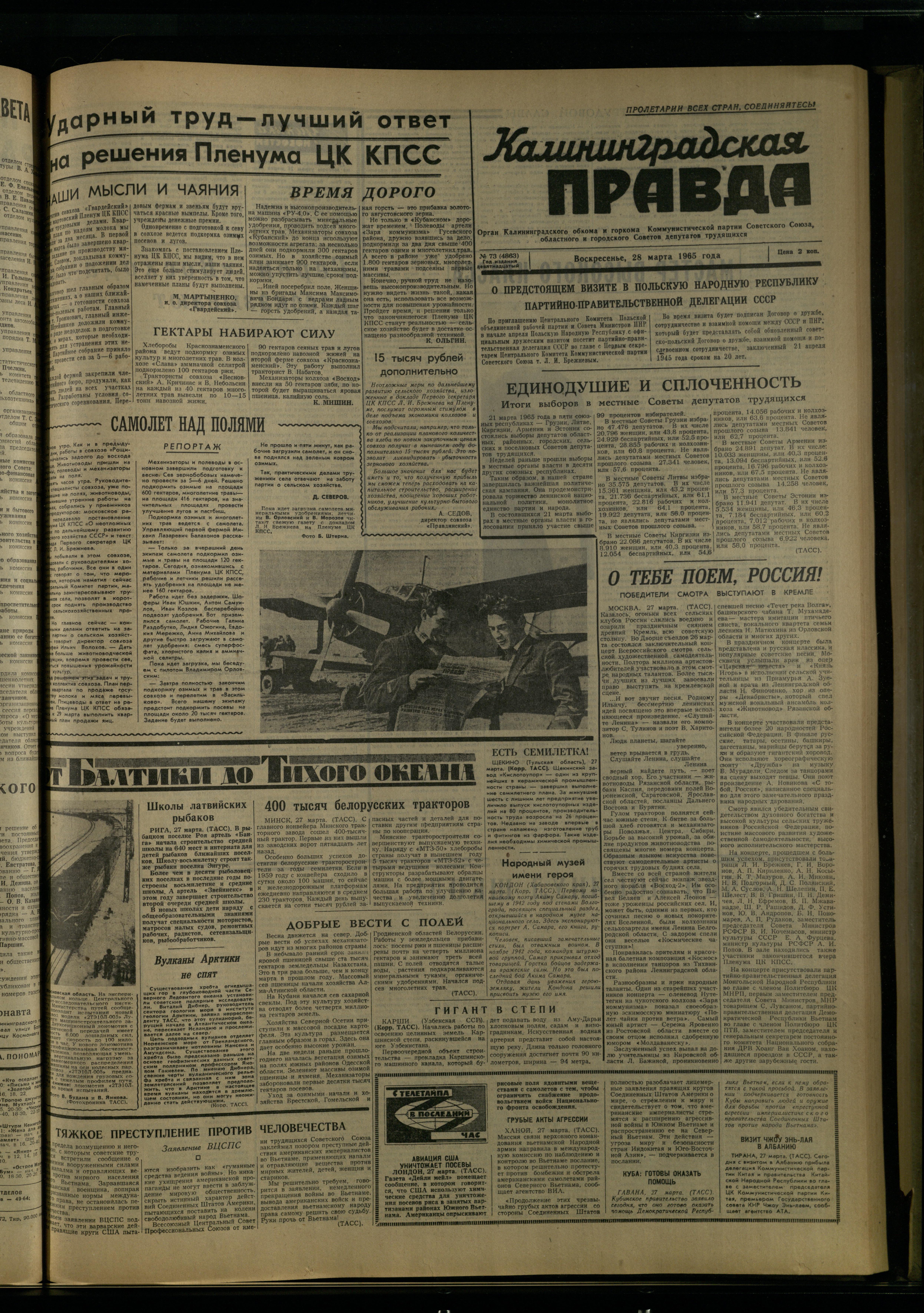 73-3-65-1