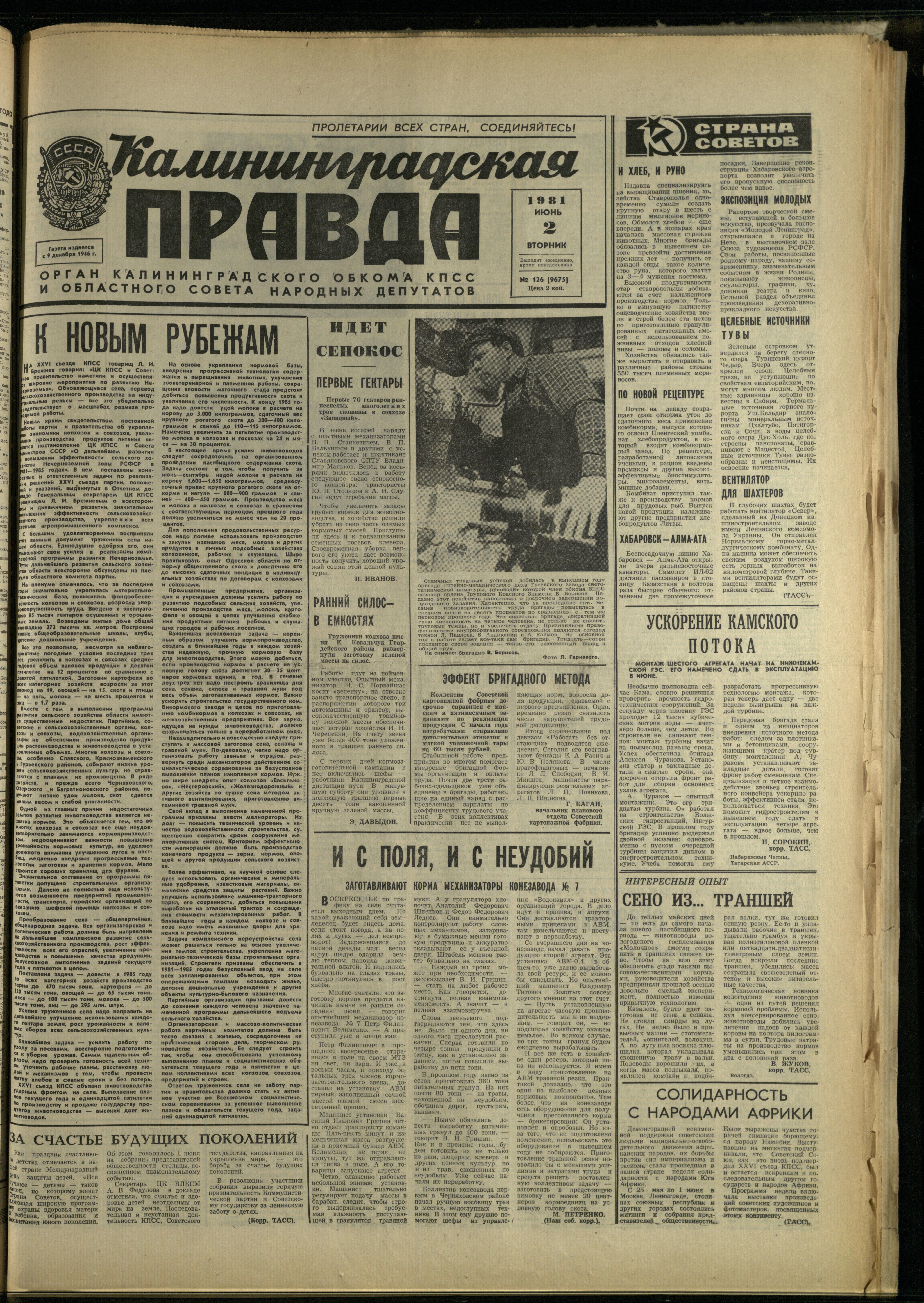 126-6-81-1