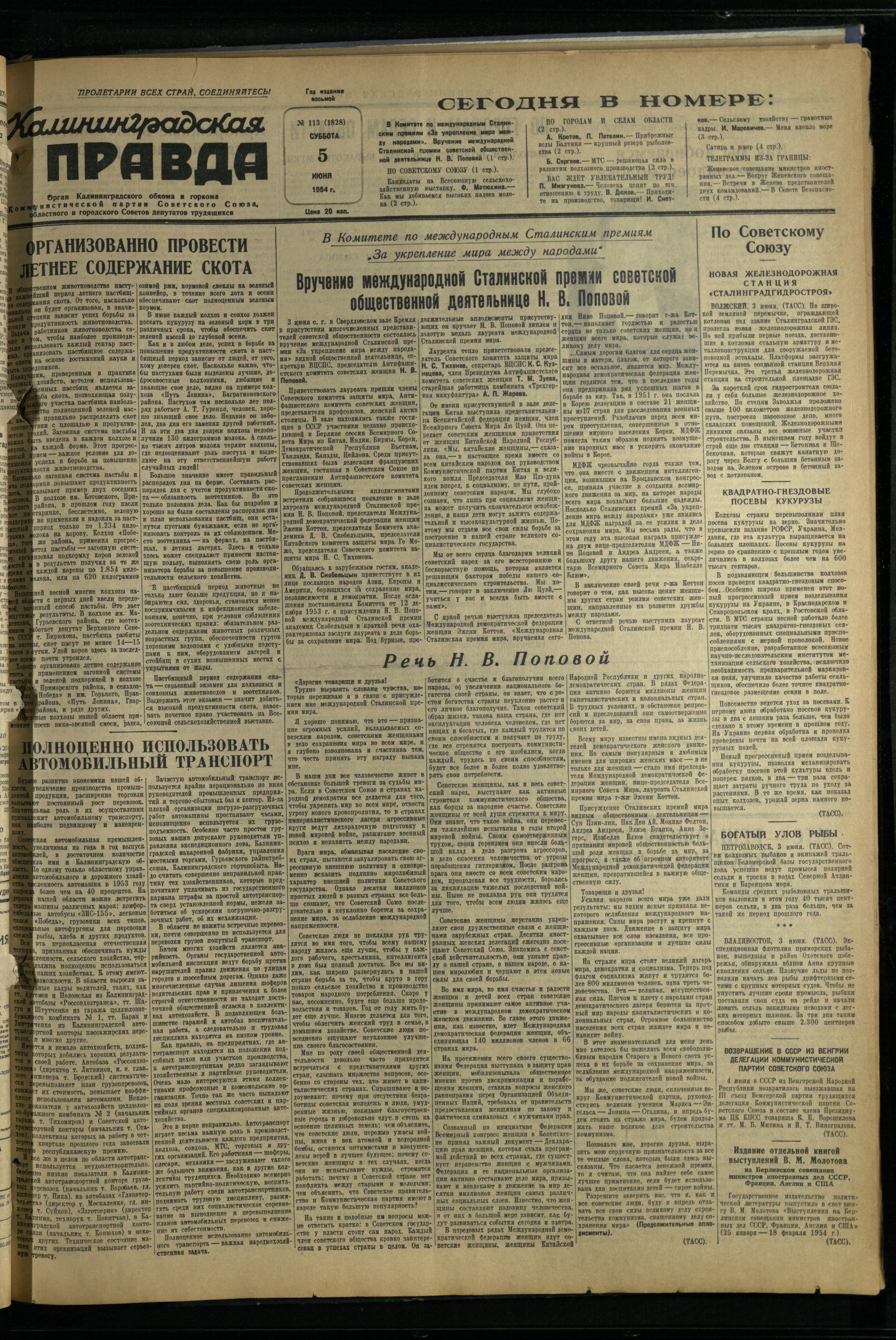 113-6-54-1
