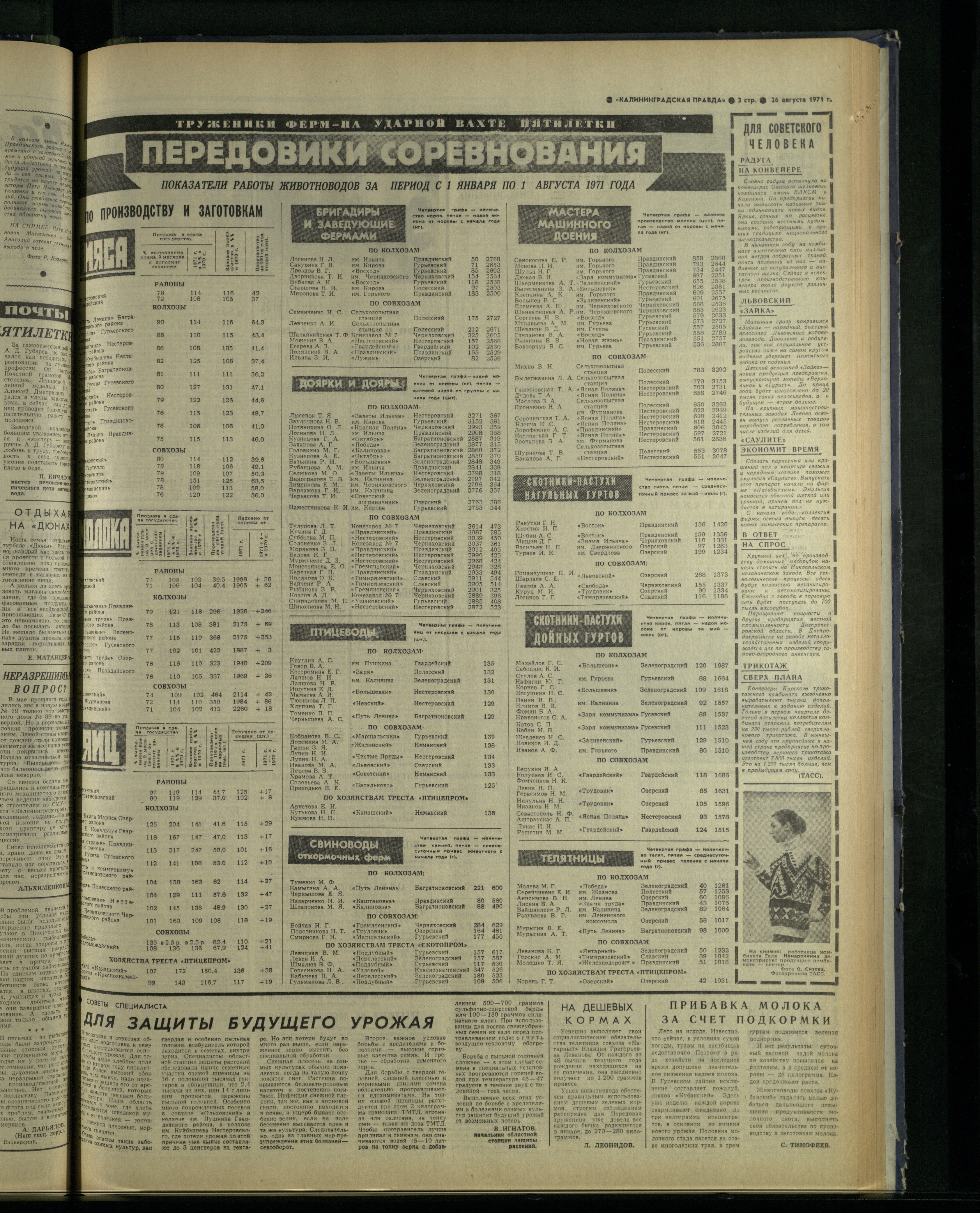 199-8-71-3