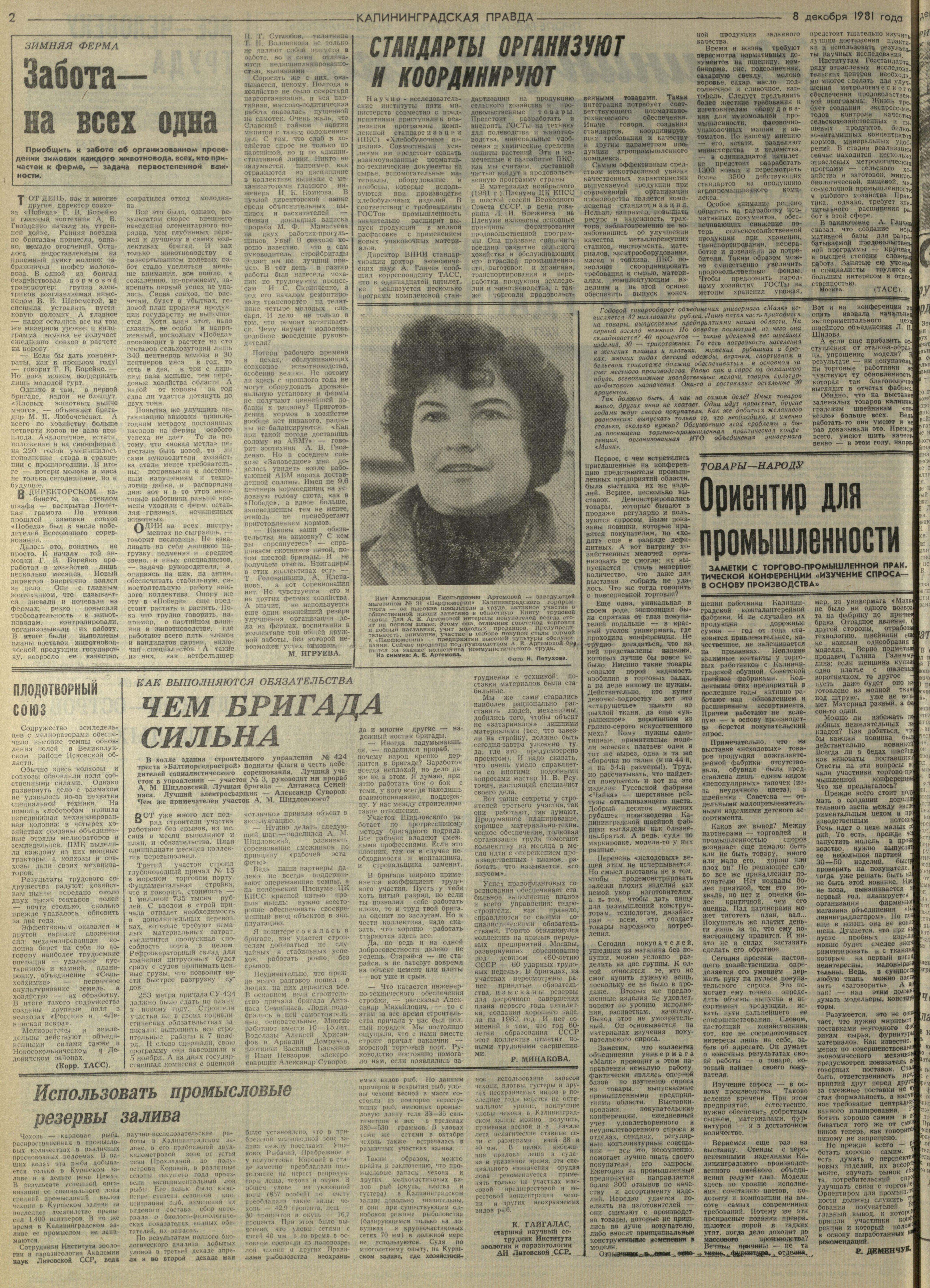 281-12-81-2