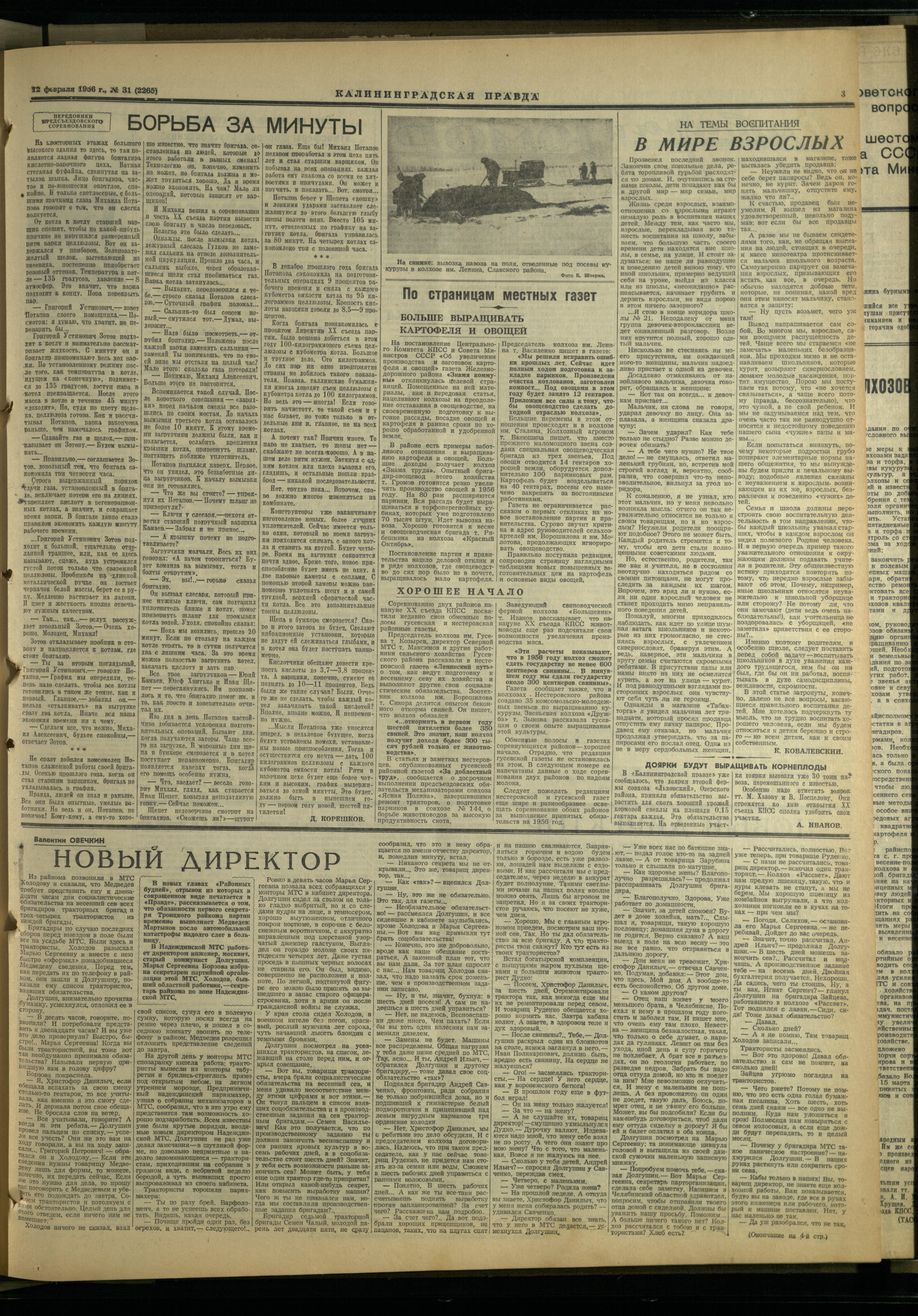 31-2-56-3