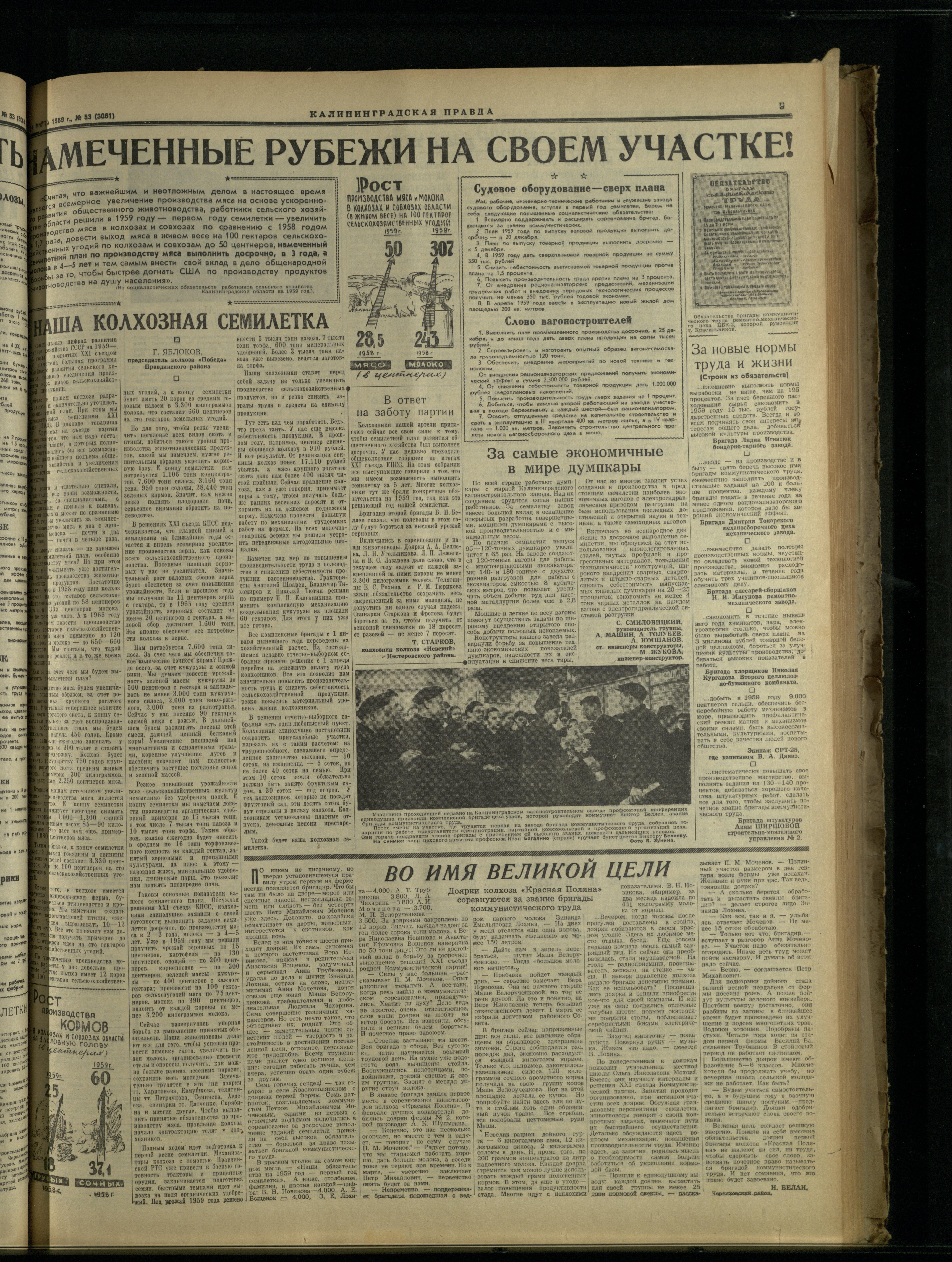 53-3-59-3