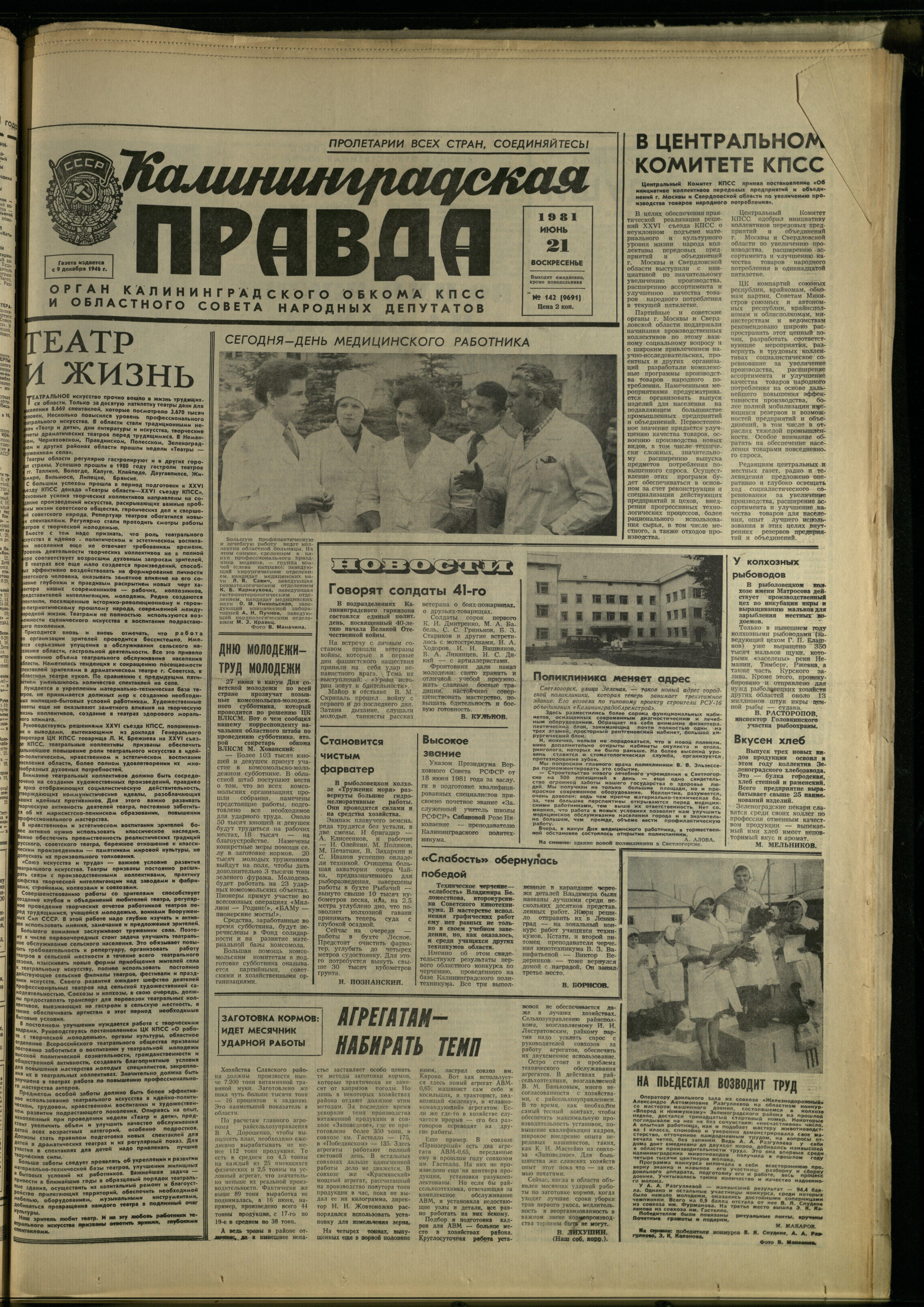 142-6-81-1