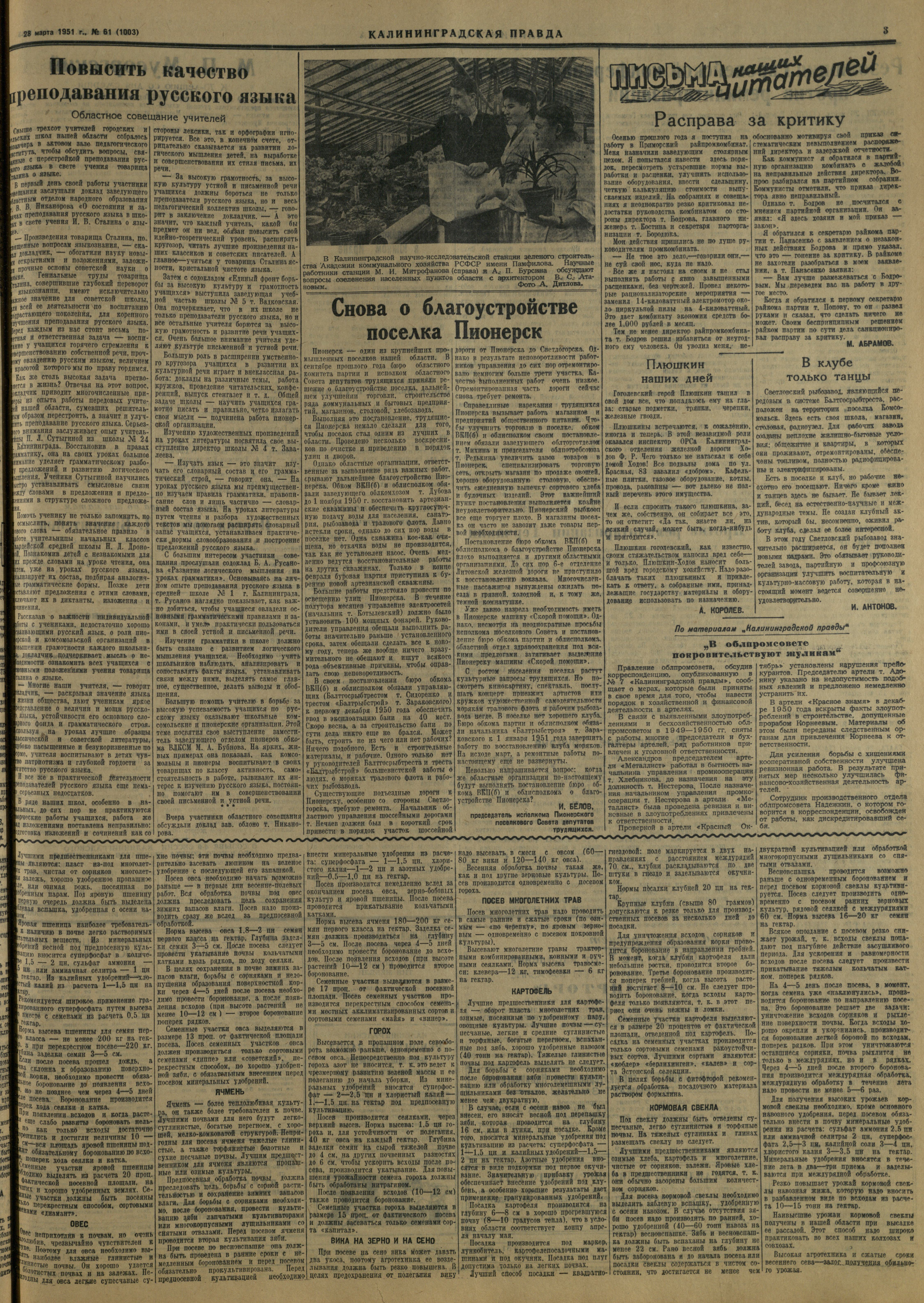 61-3-51-3