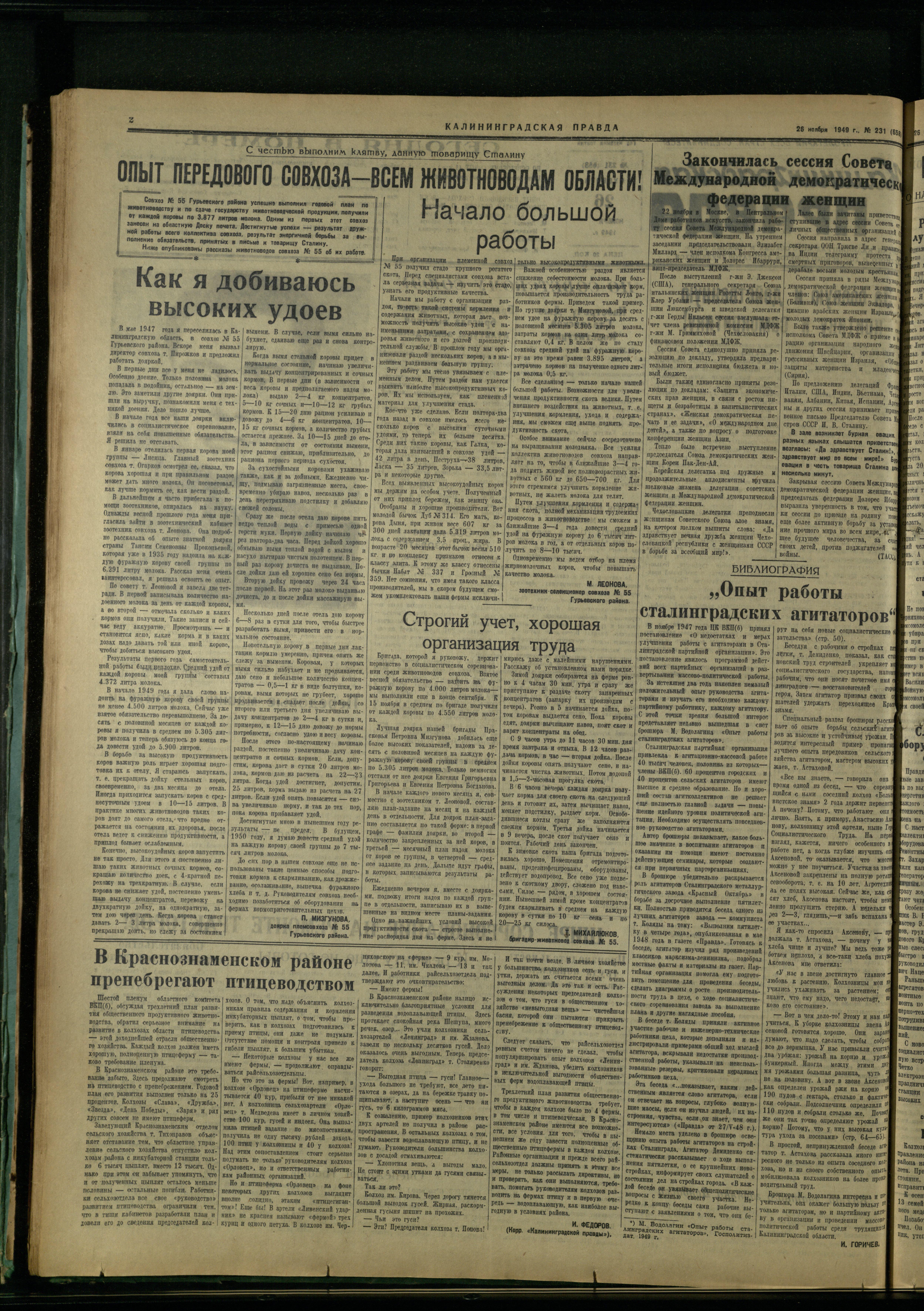 231-11-49-2