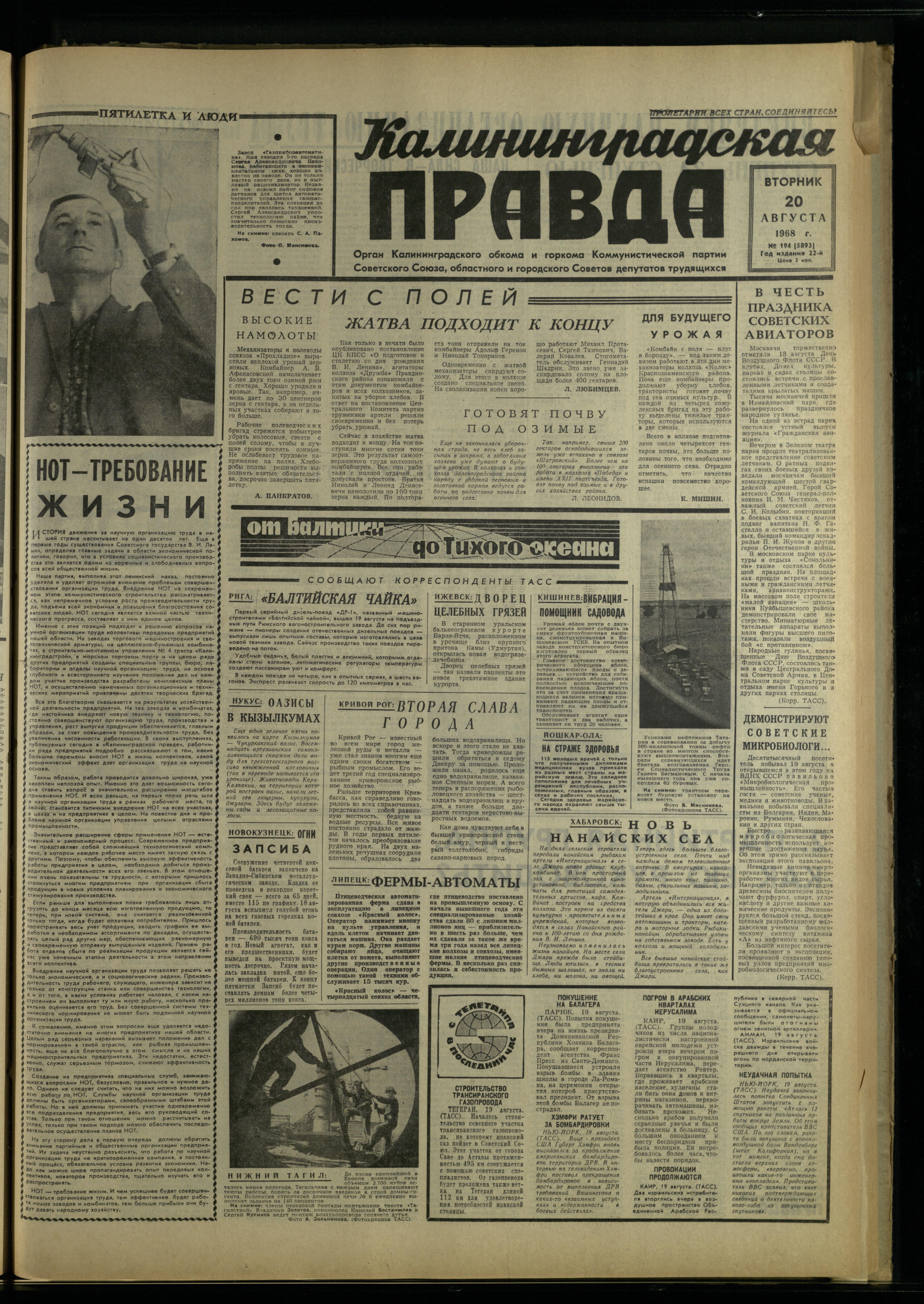 194-8-68-1