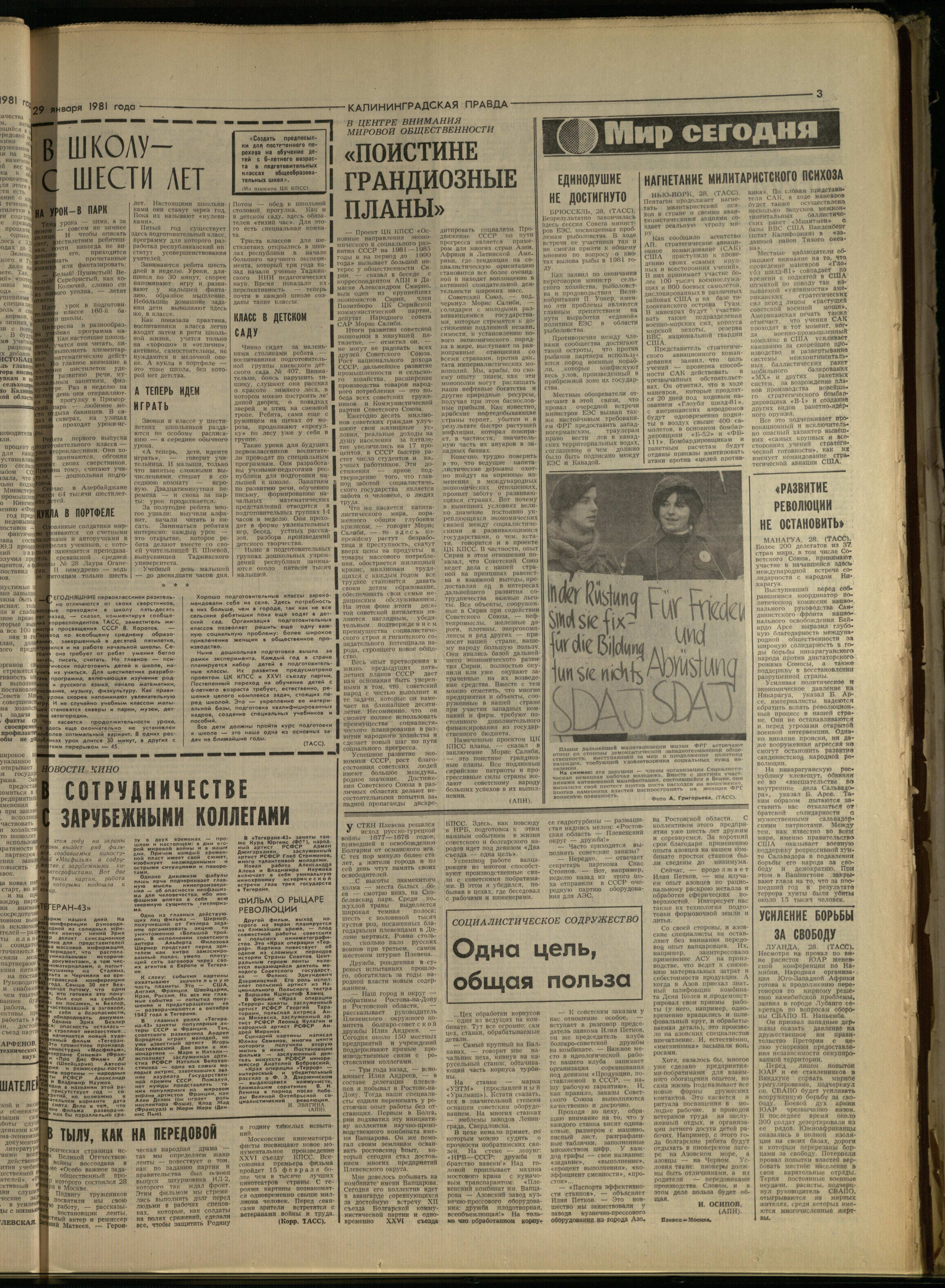 24-1-81-3