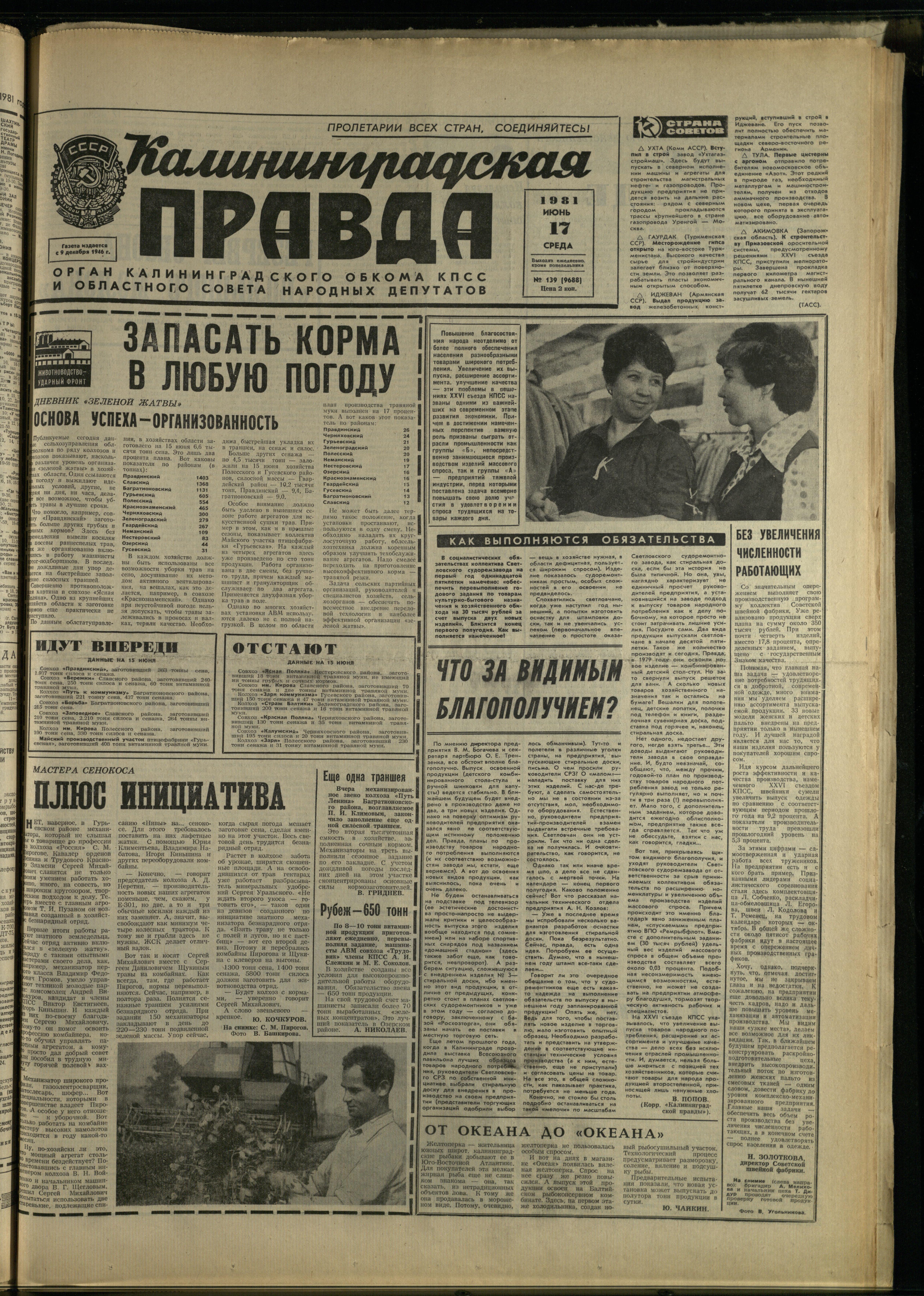139-6-81-1