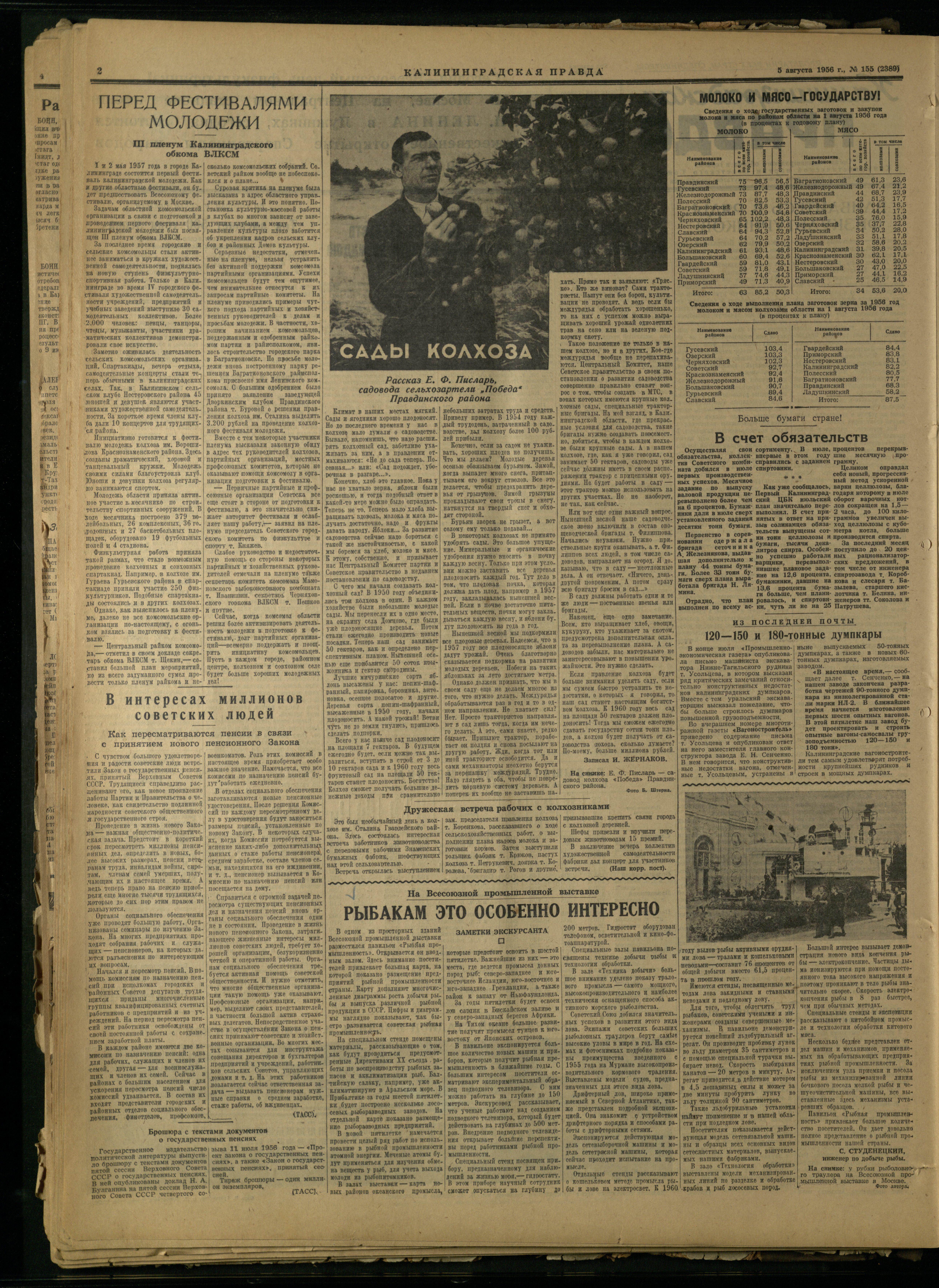 155-8-56-2