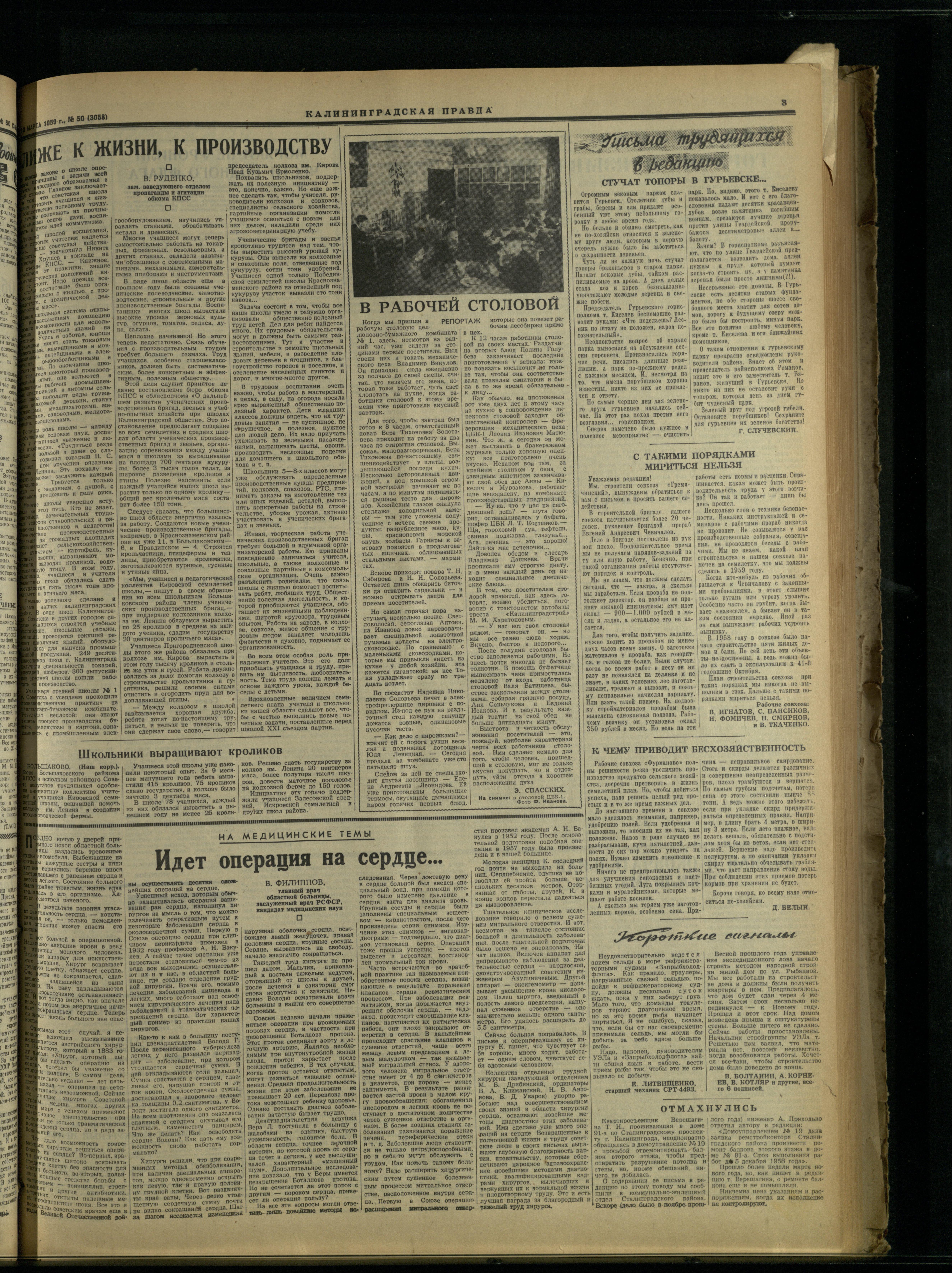 50-3-59-3