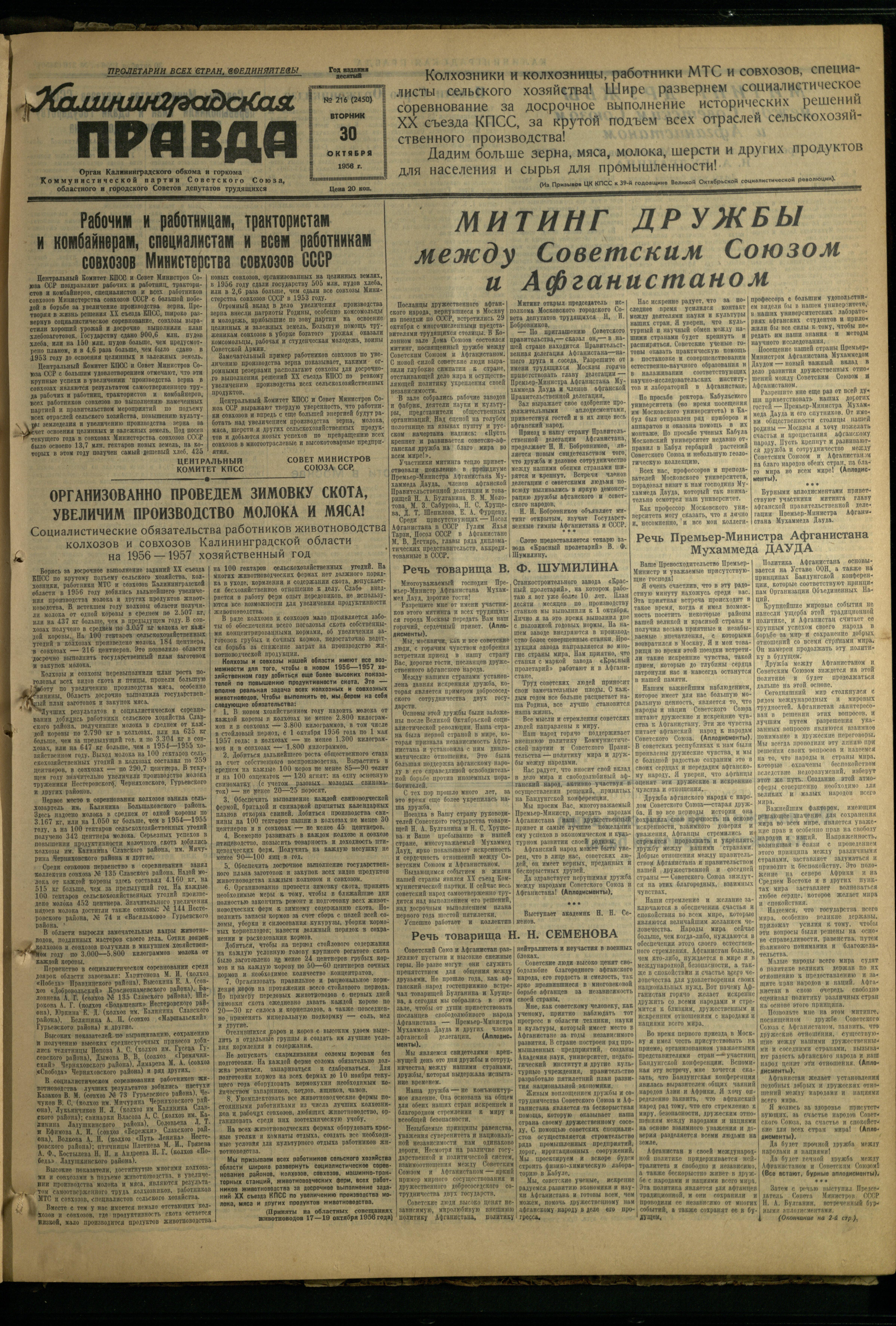 216-10-56-1