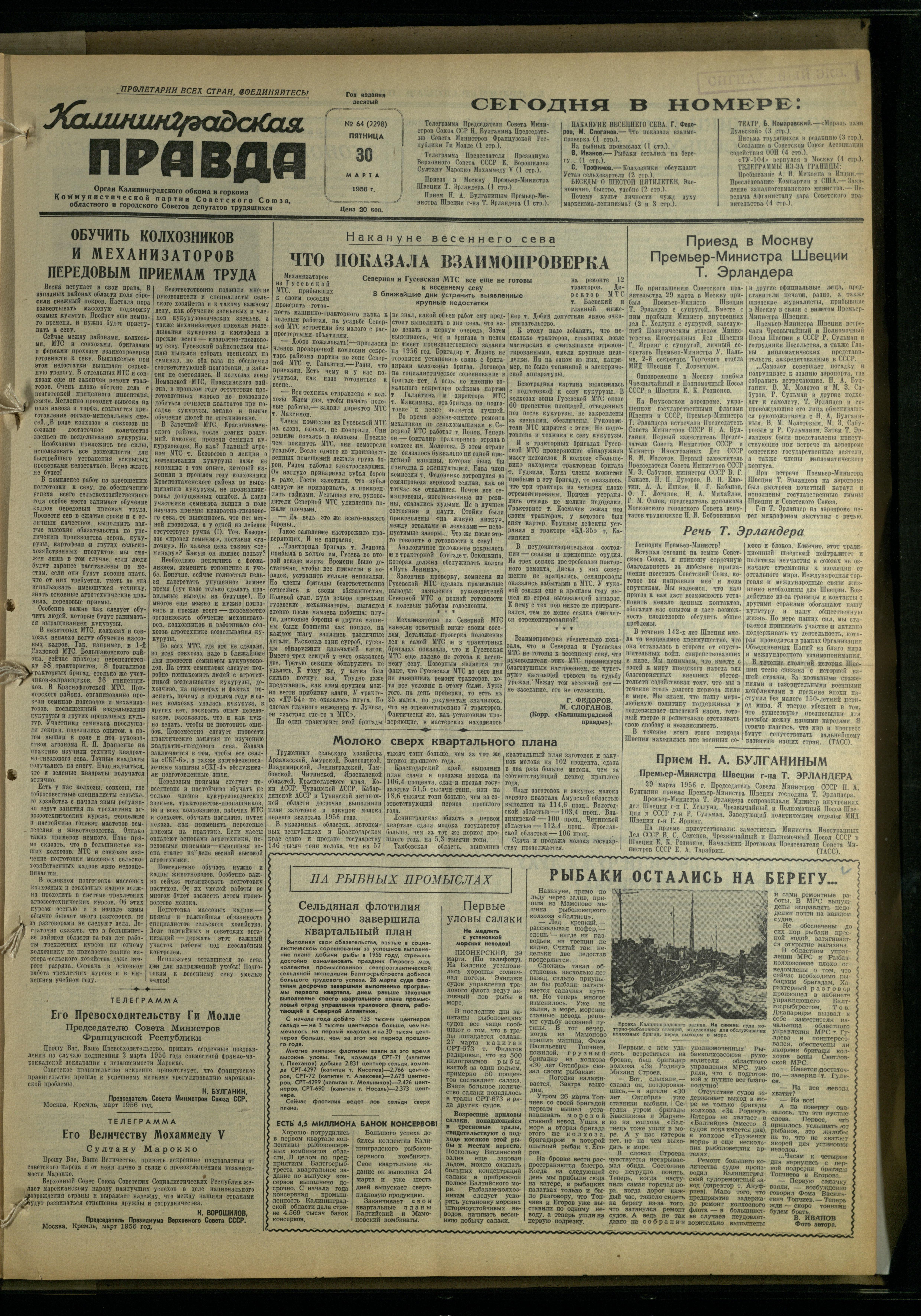 64-3-56-1