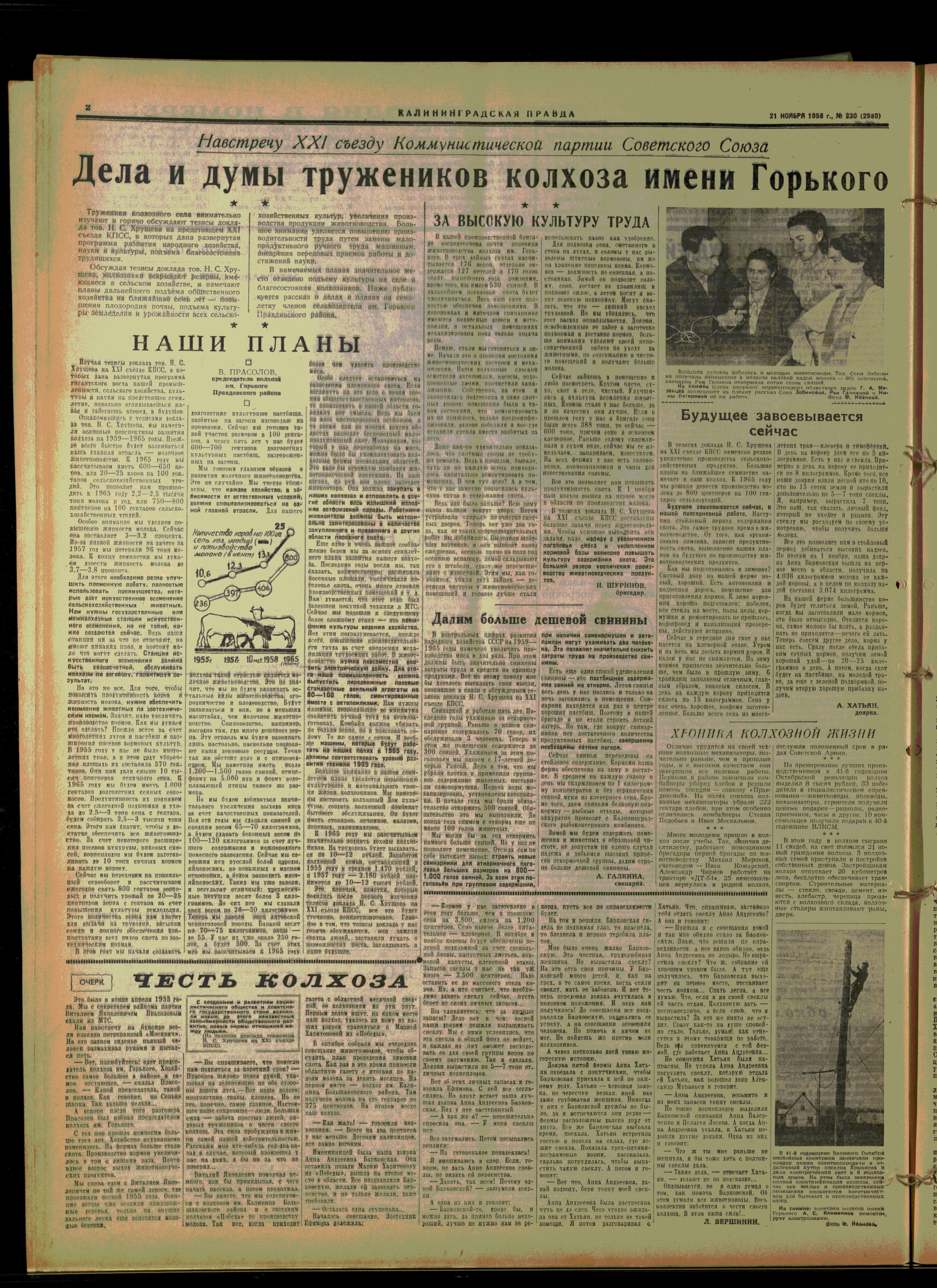 230-11-58-2