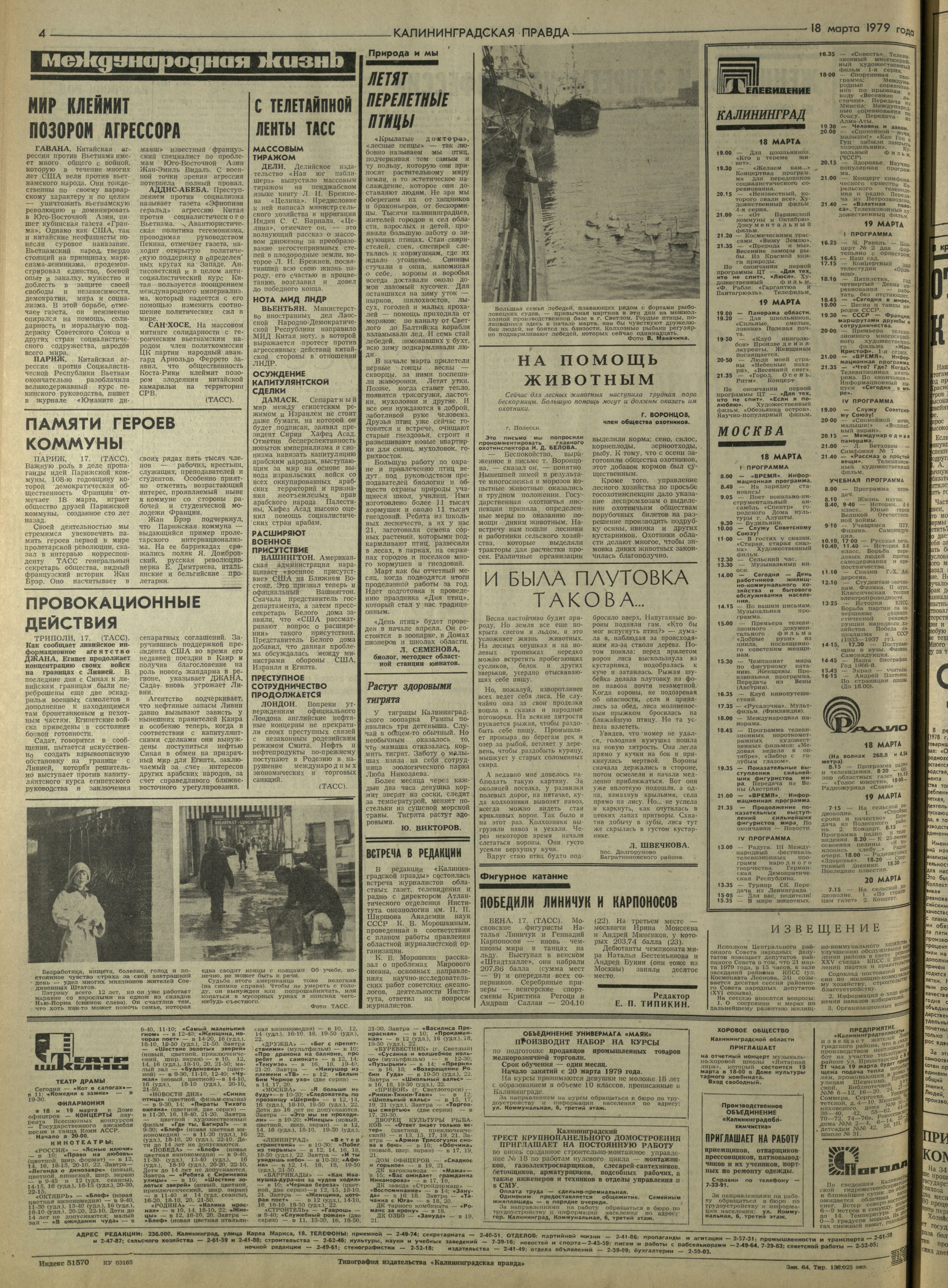 64-3-79-4