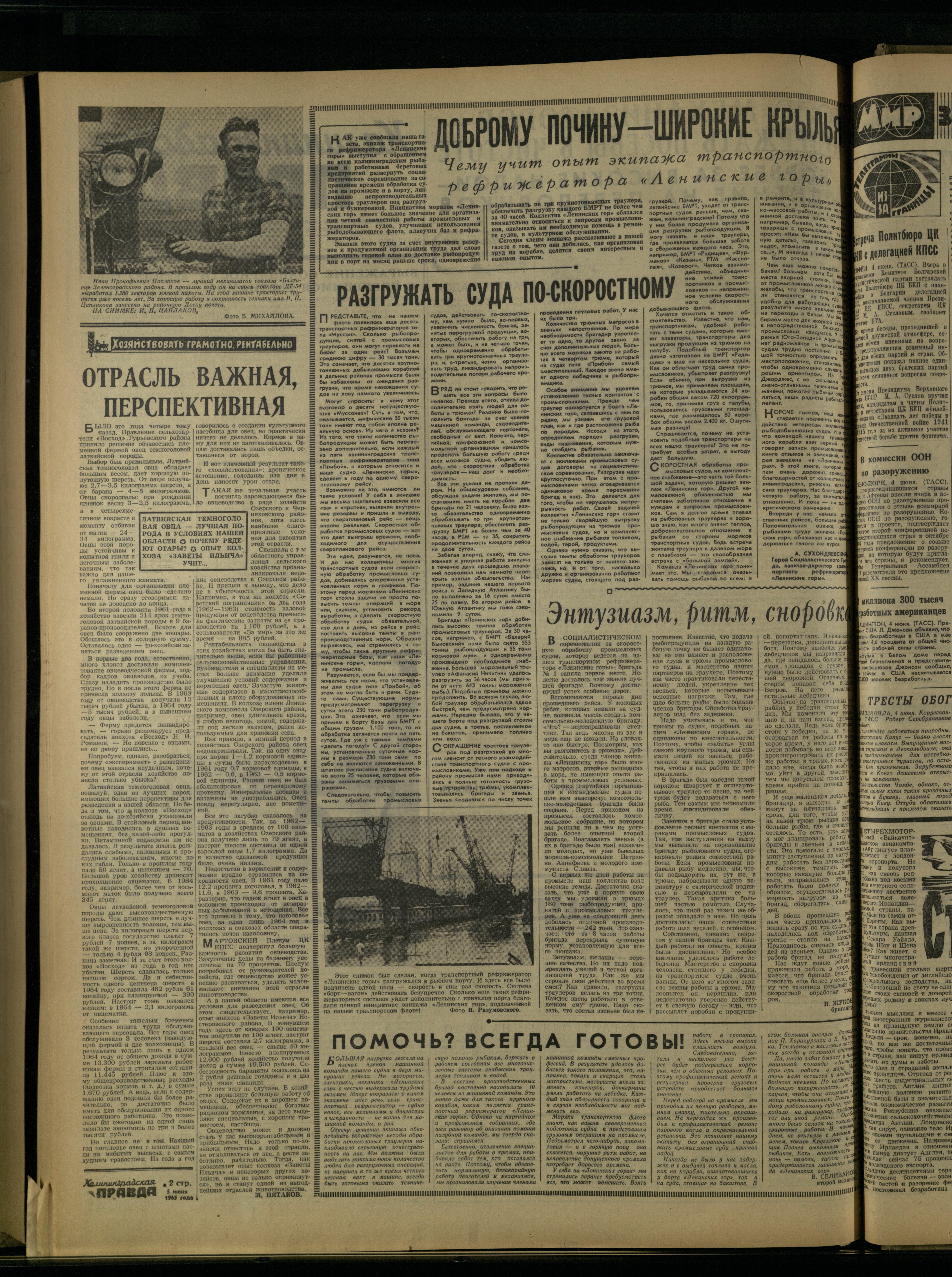 131-6-65-2