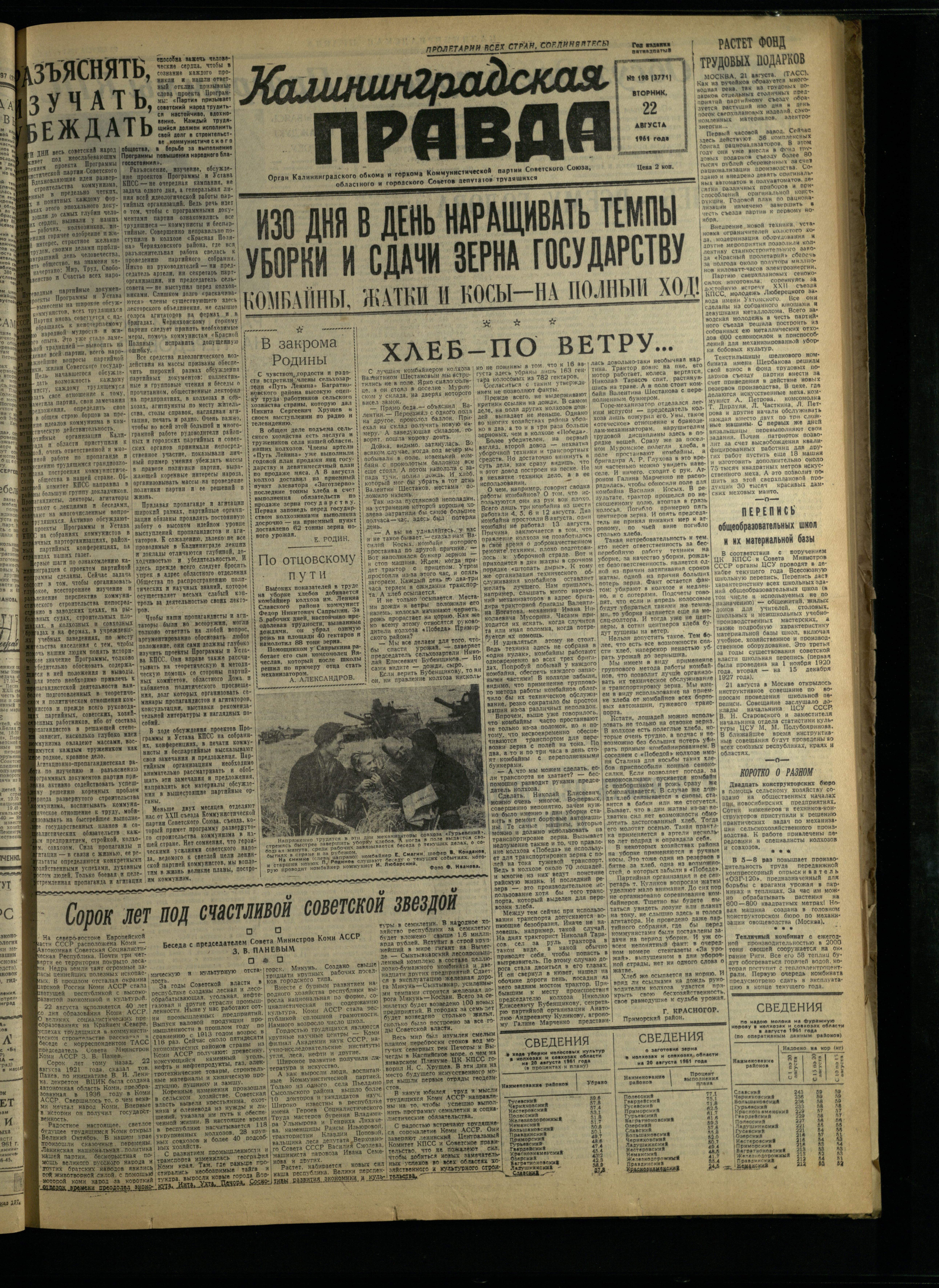 198-8-61-1