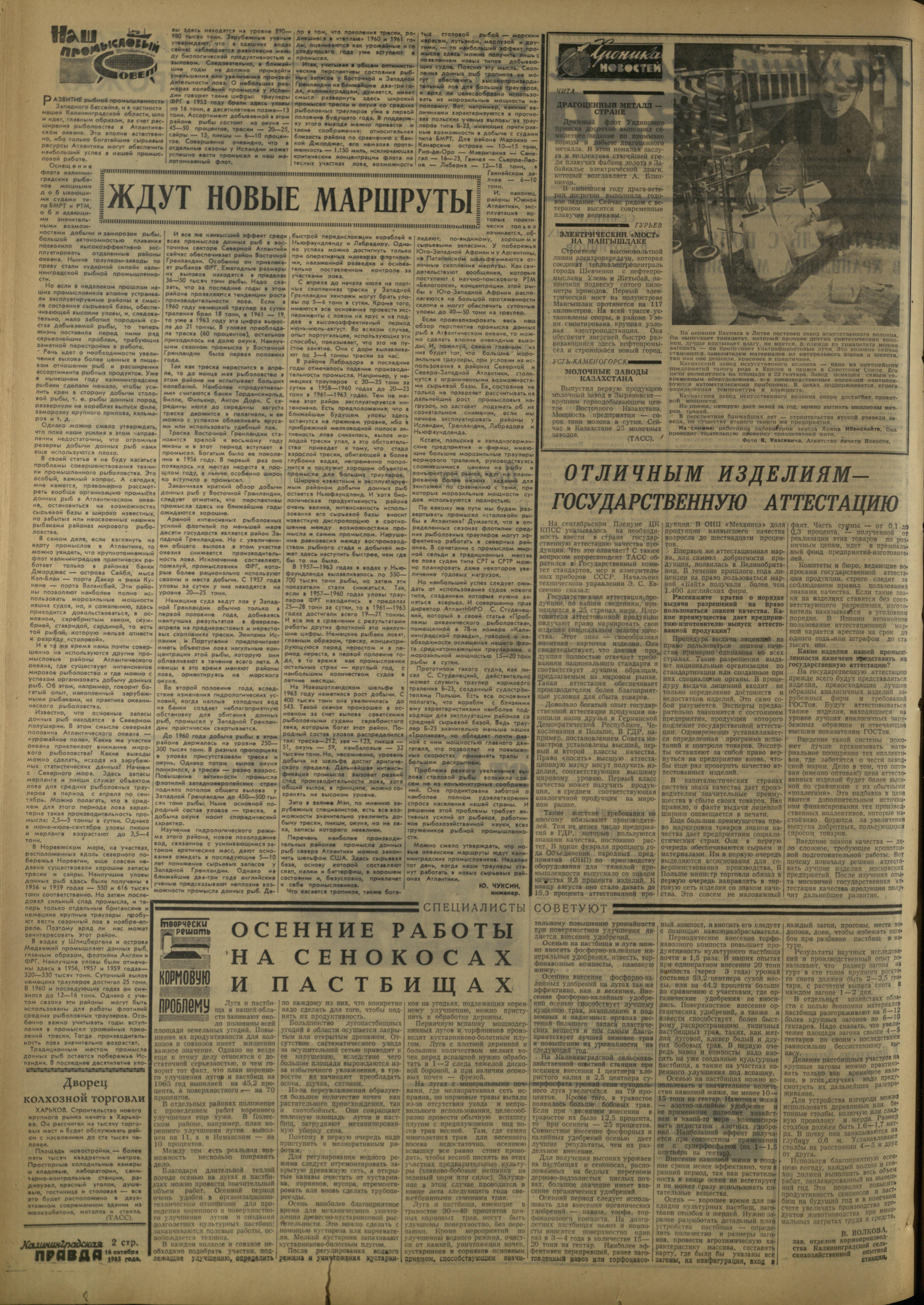 245-10-65-2