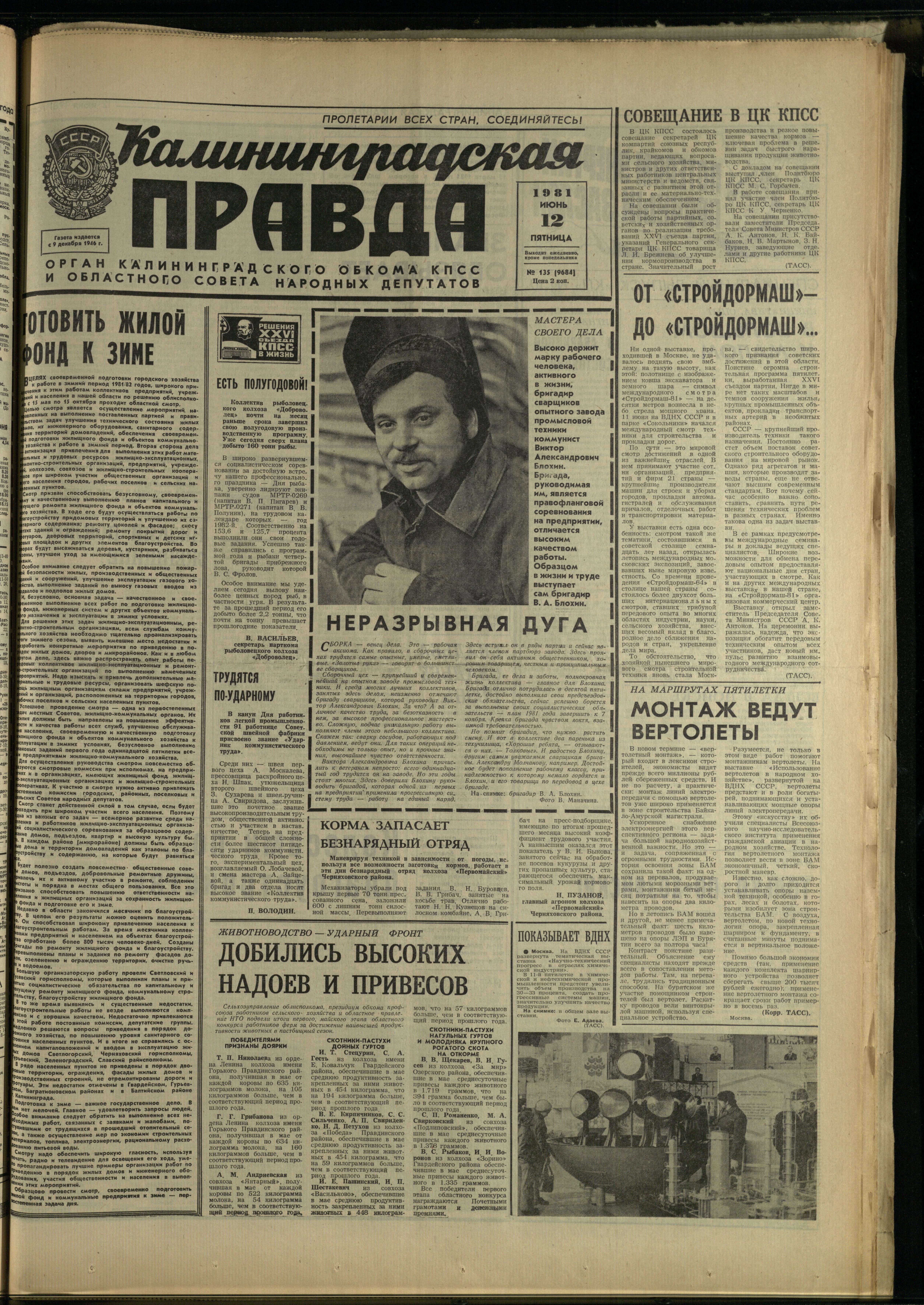 135-6-81-1