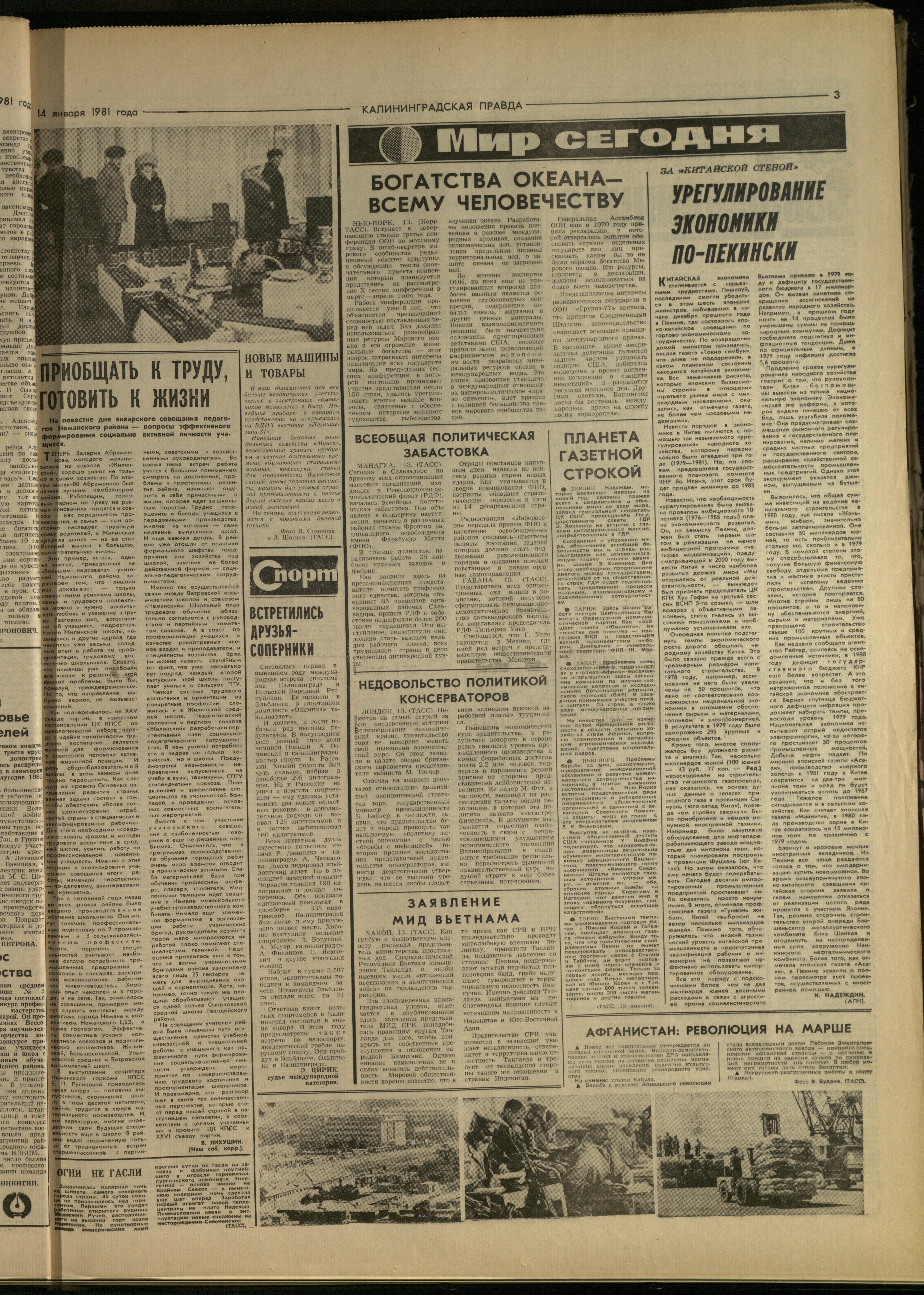 11-1-81-3