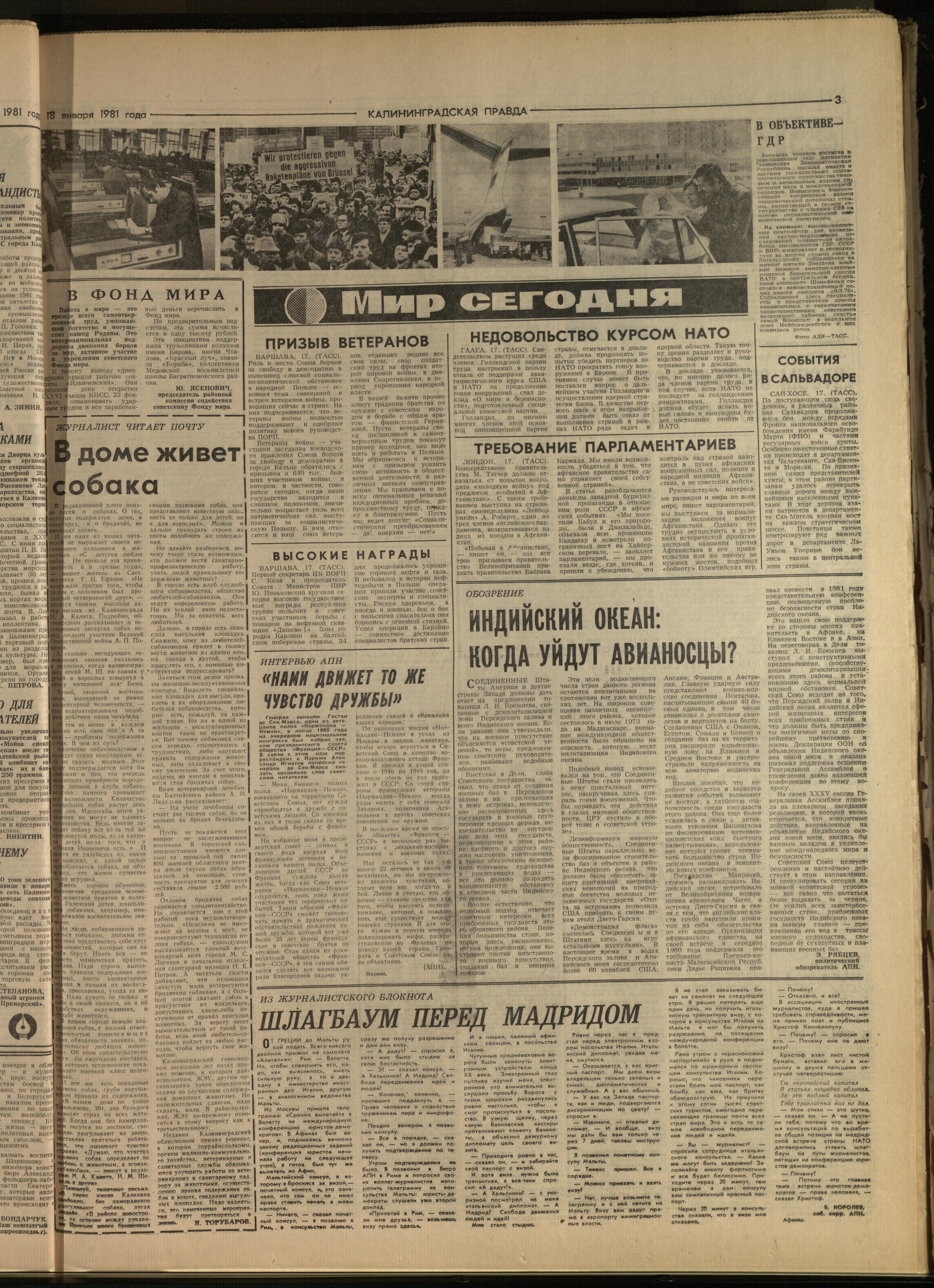 15-1-81-3