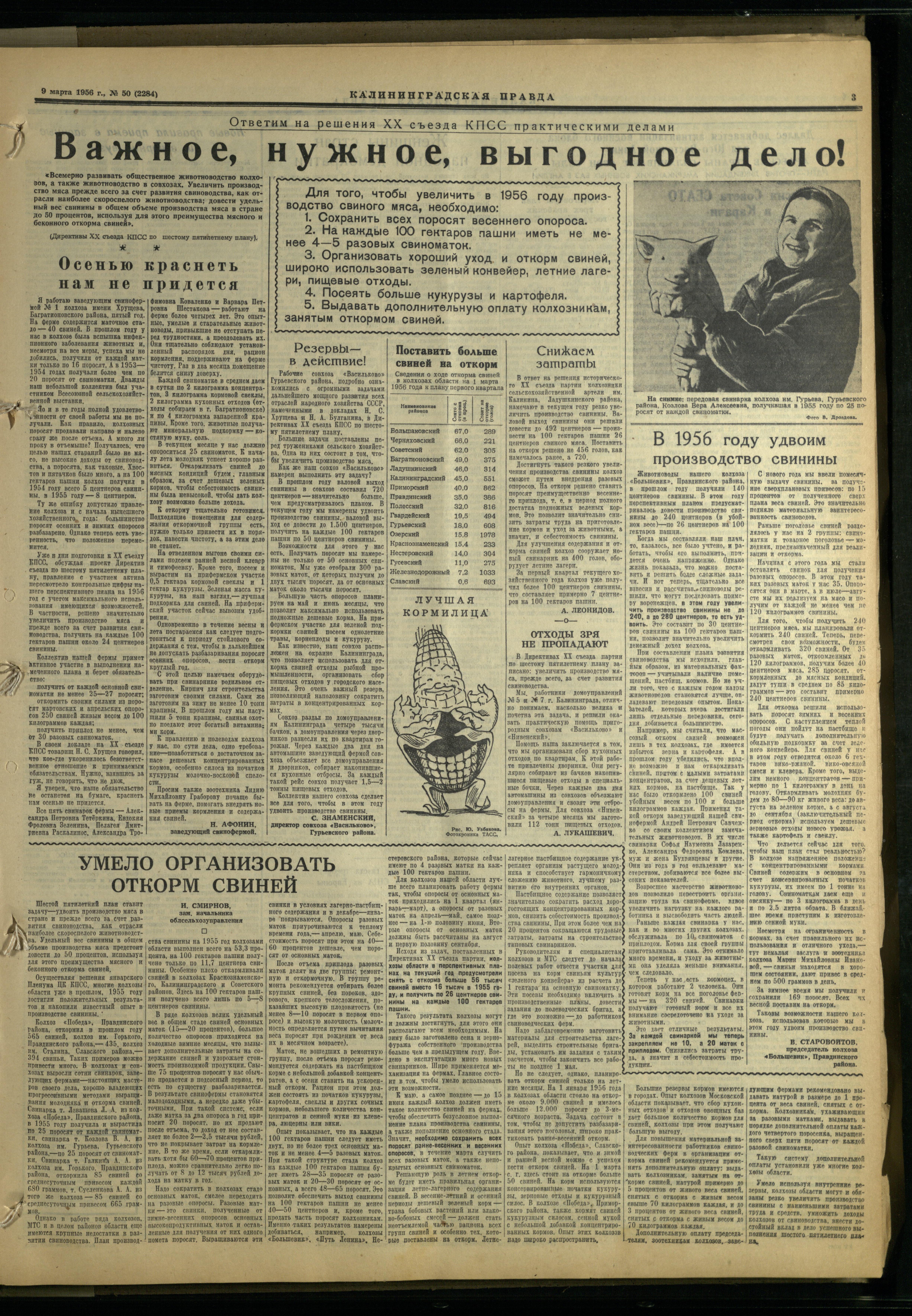 50-3-56-3