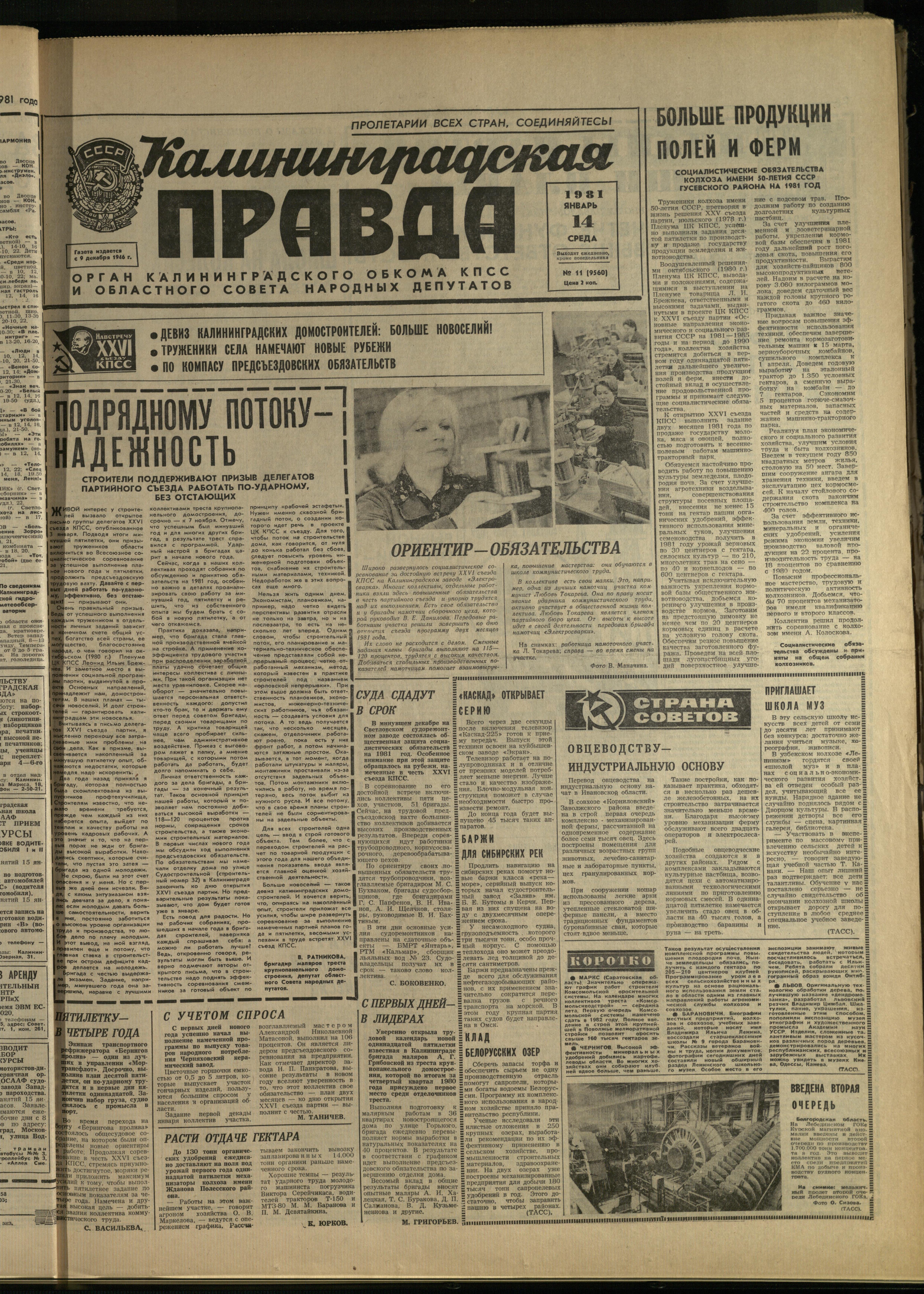 11-1-81-1