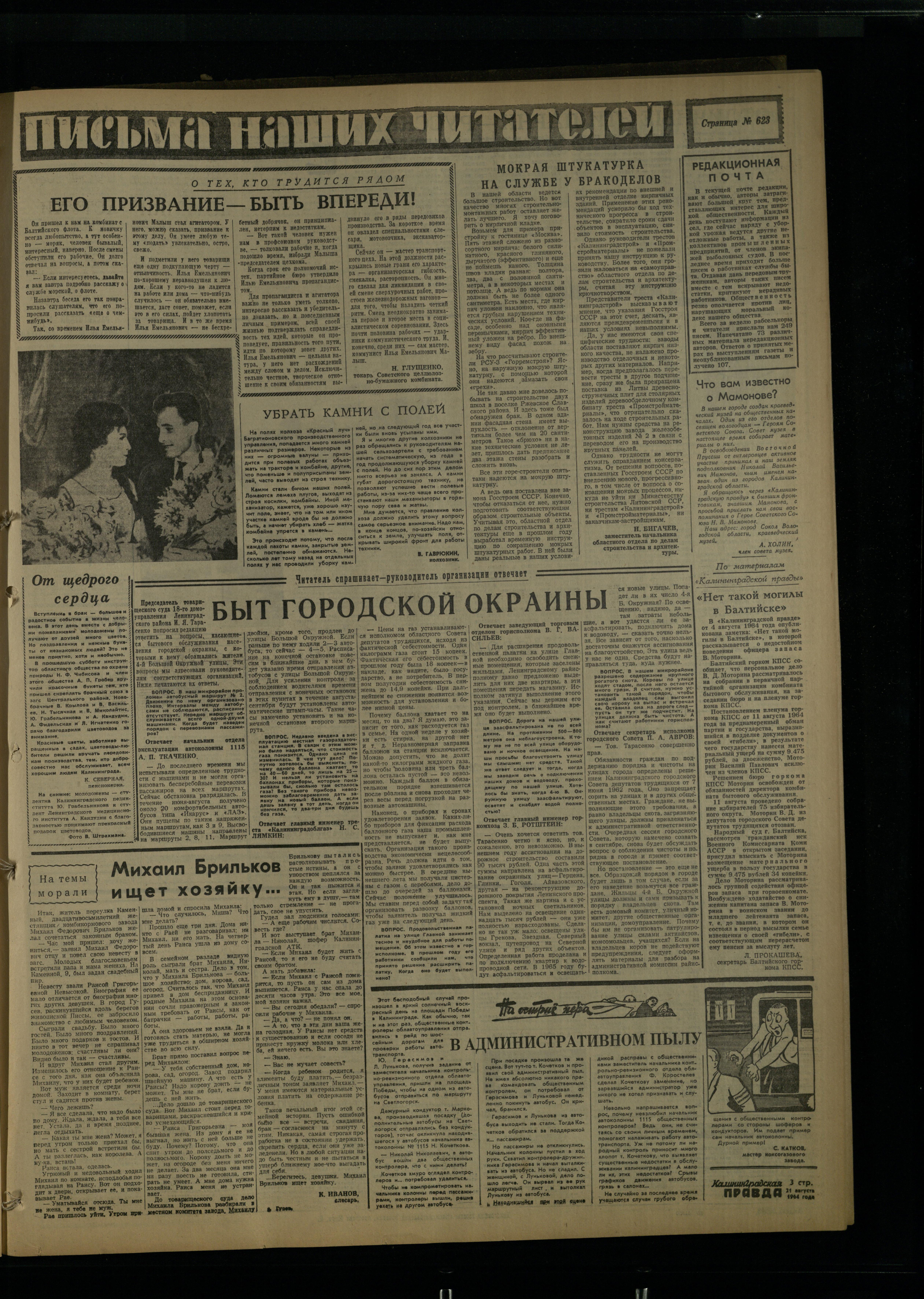 196-8-64-3