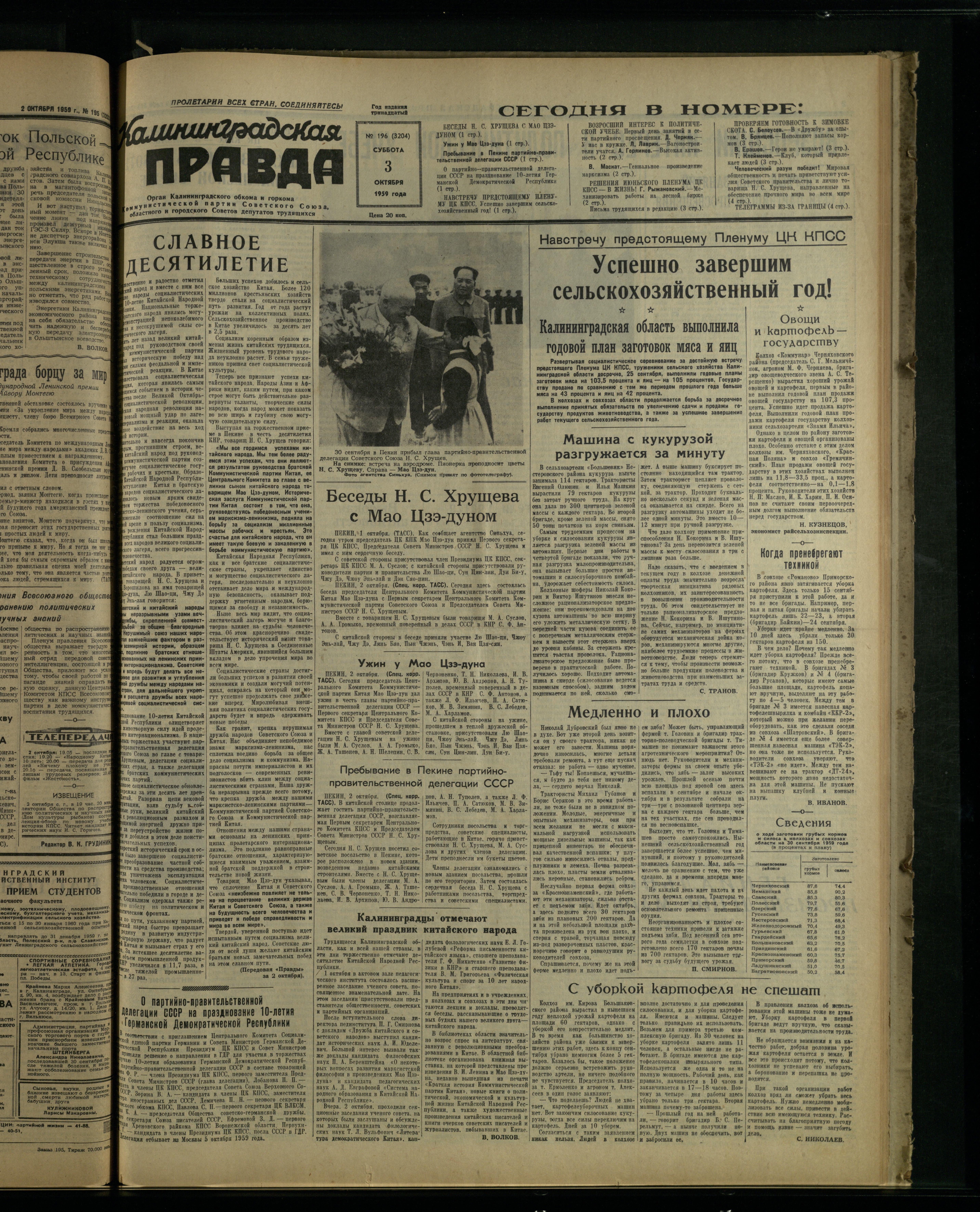 196-10-59-1