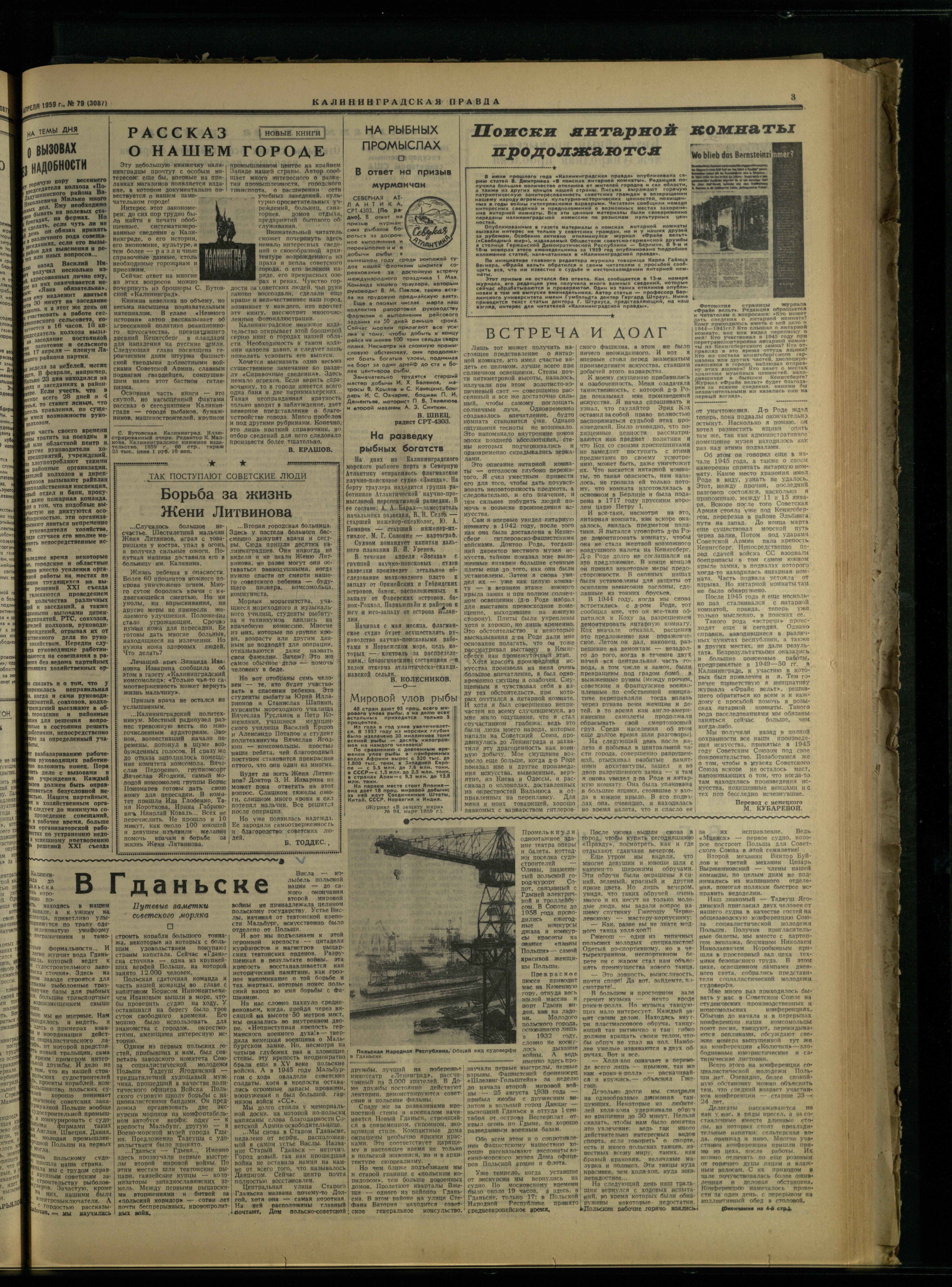 79-4-59-3