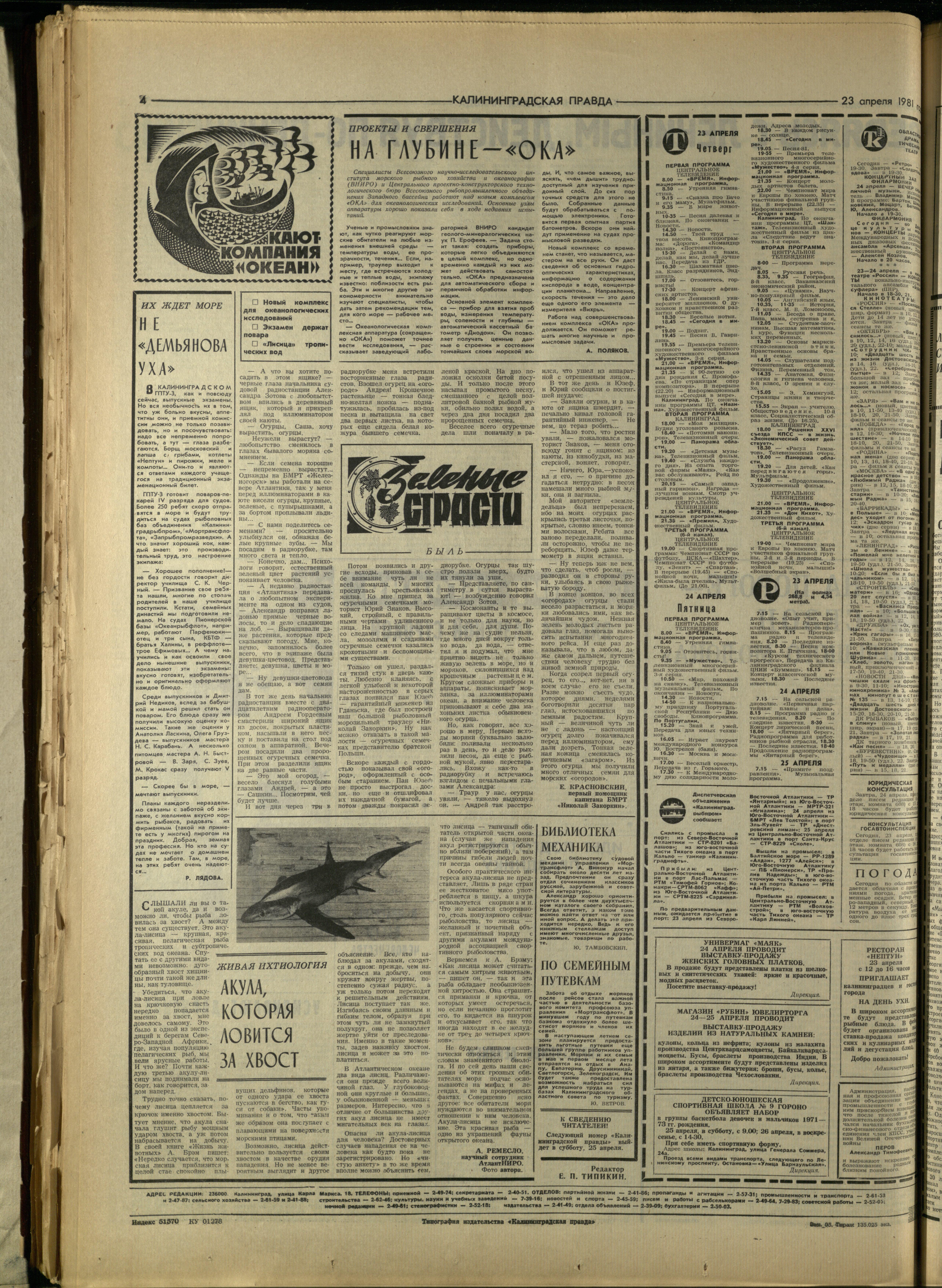 95-4-81-4