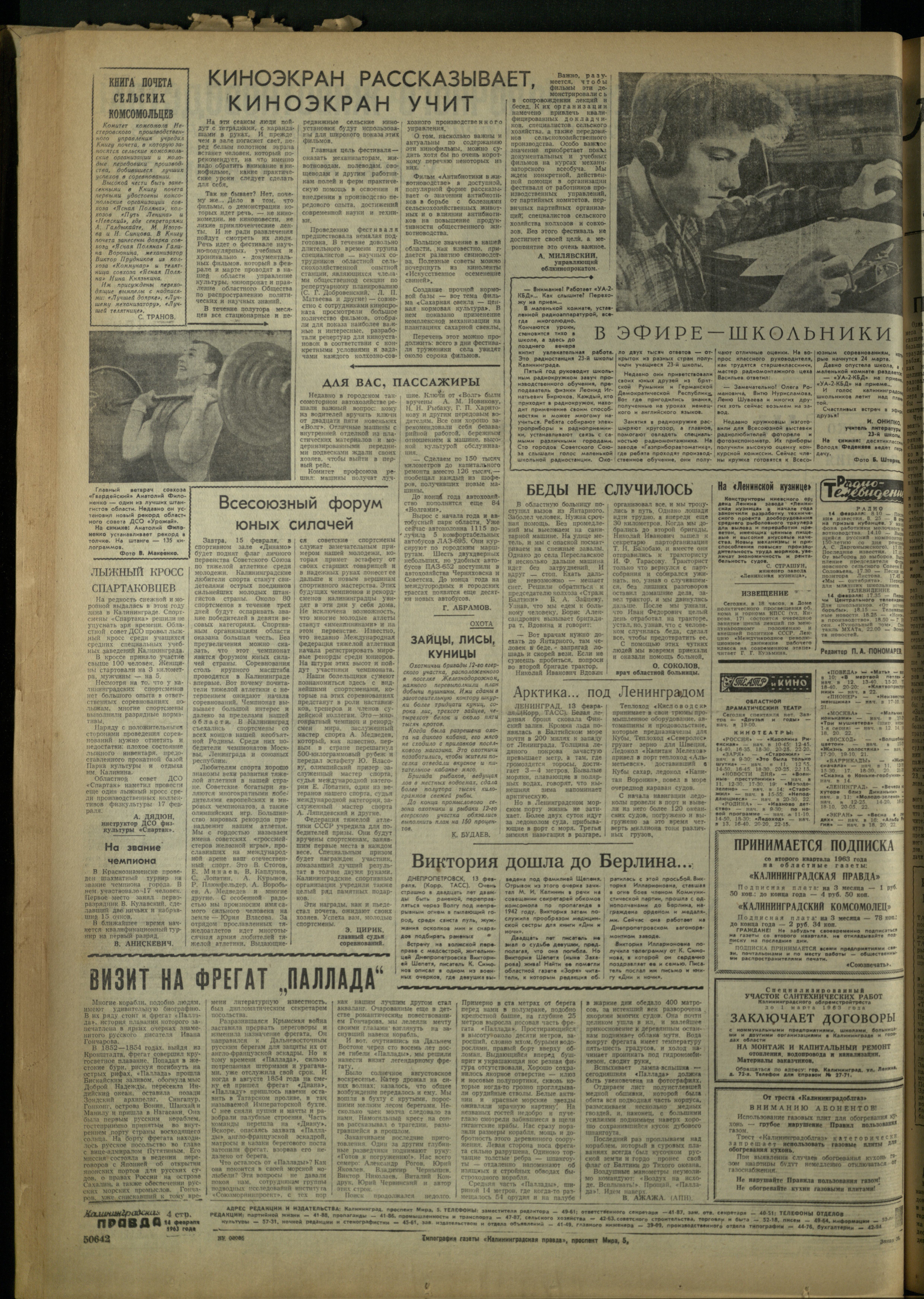 38-2-63-4