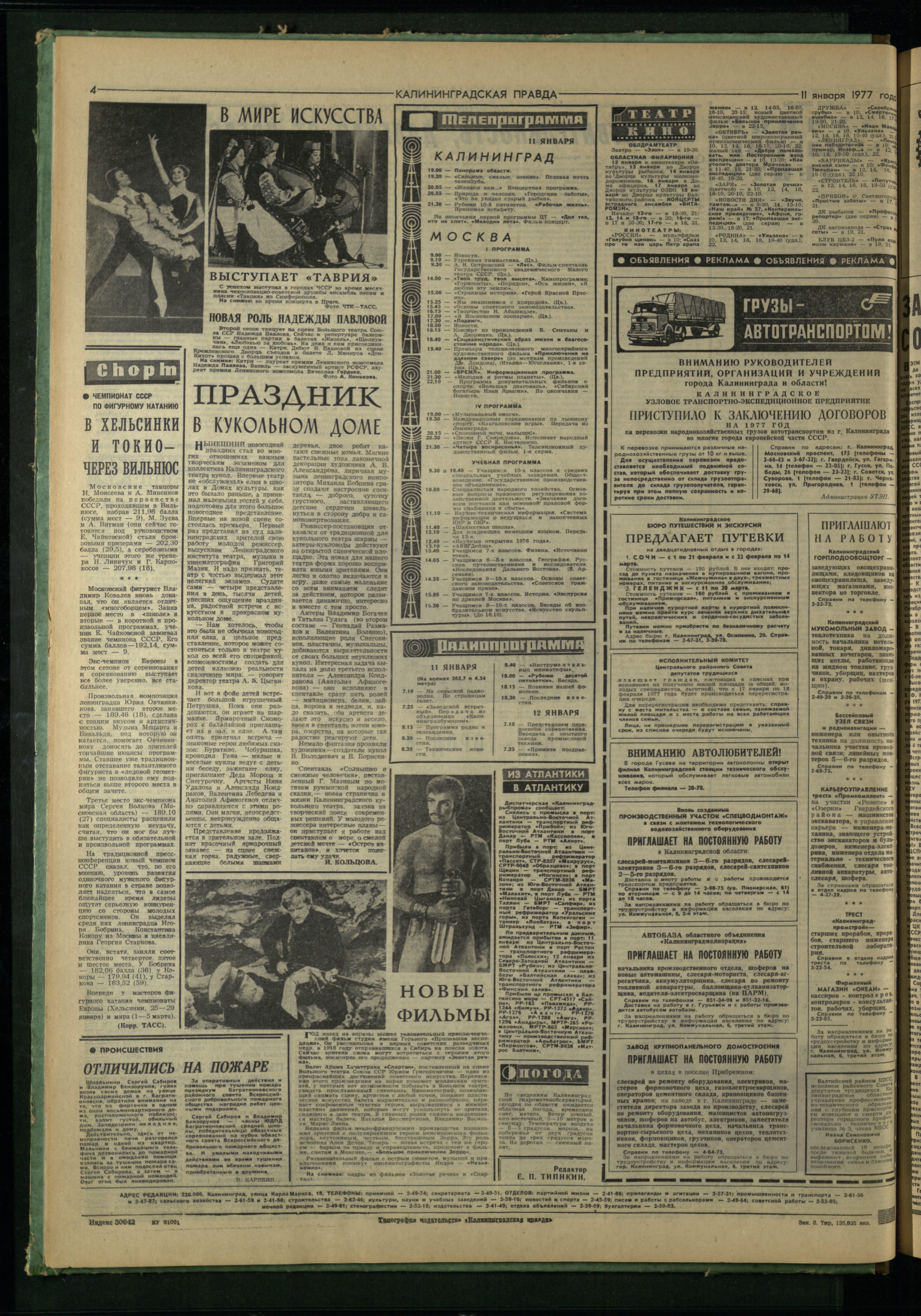 8-1-77-4