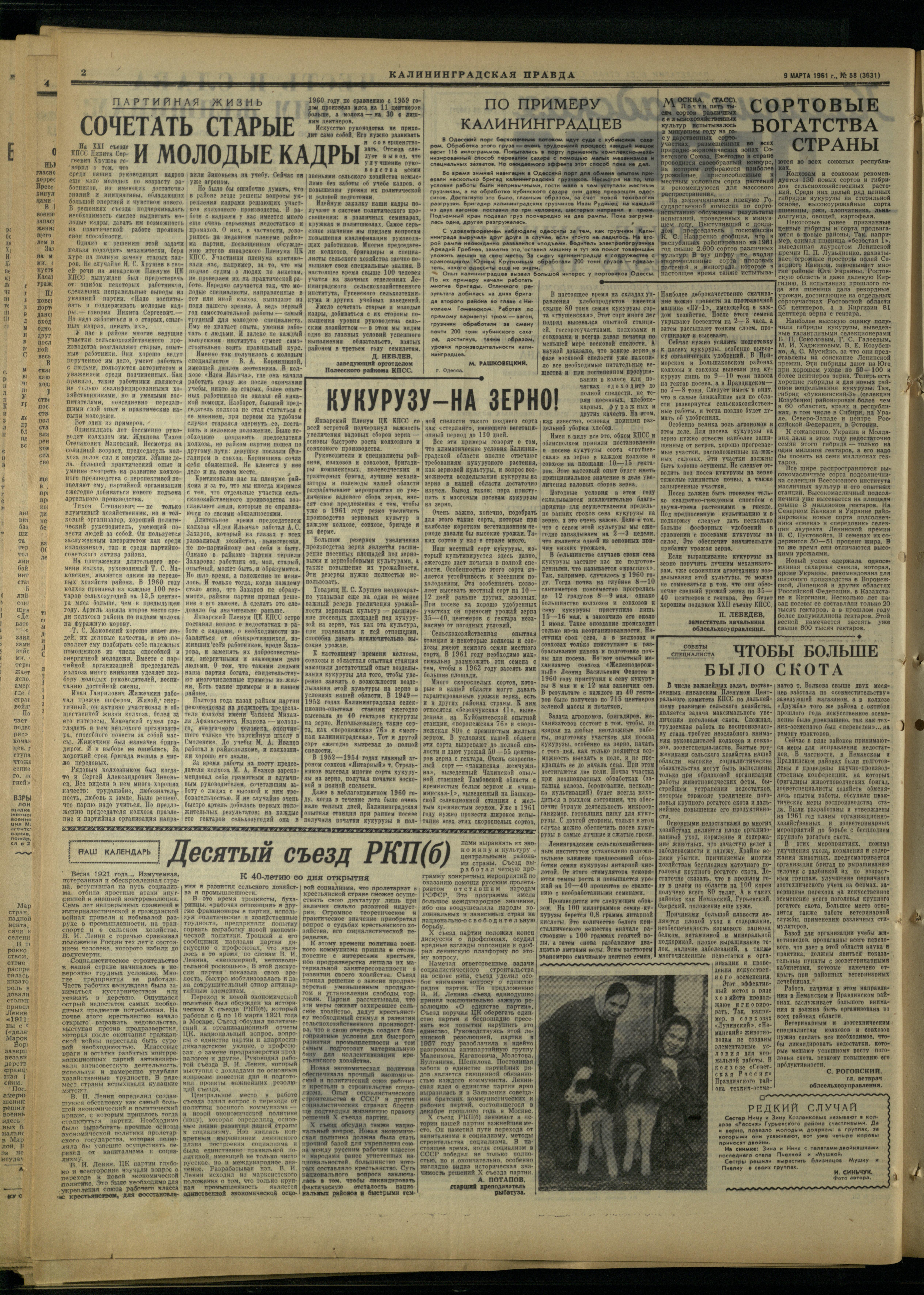 58-3-61-2