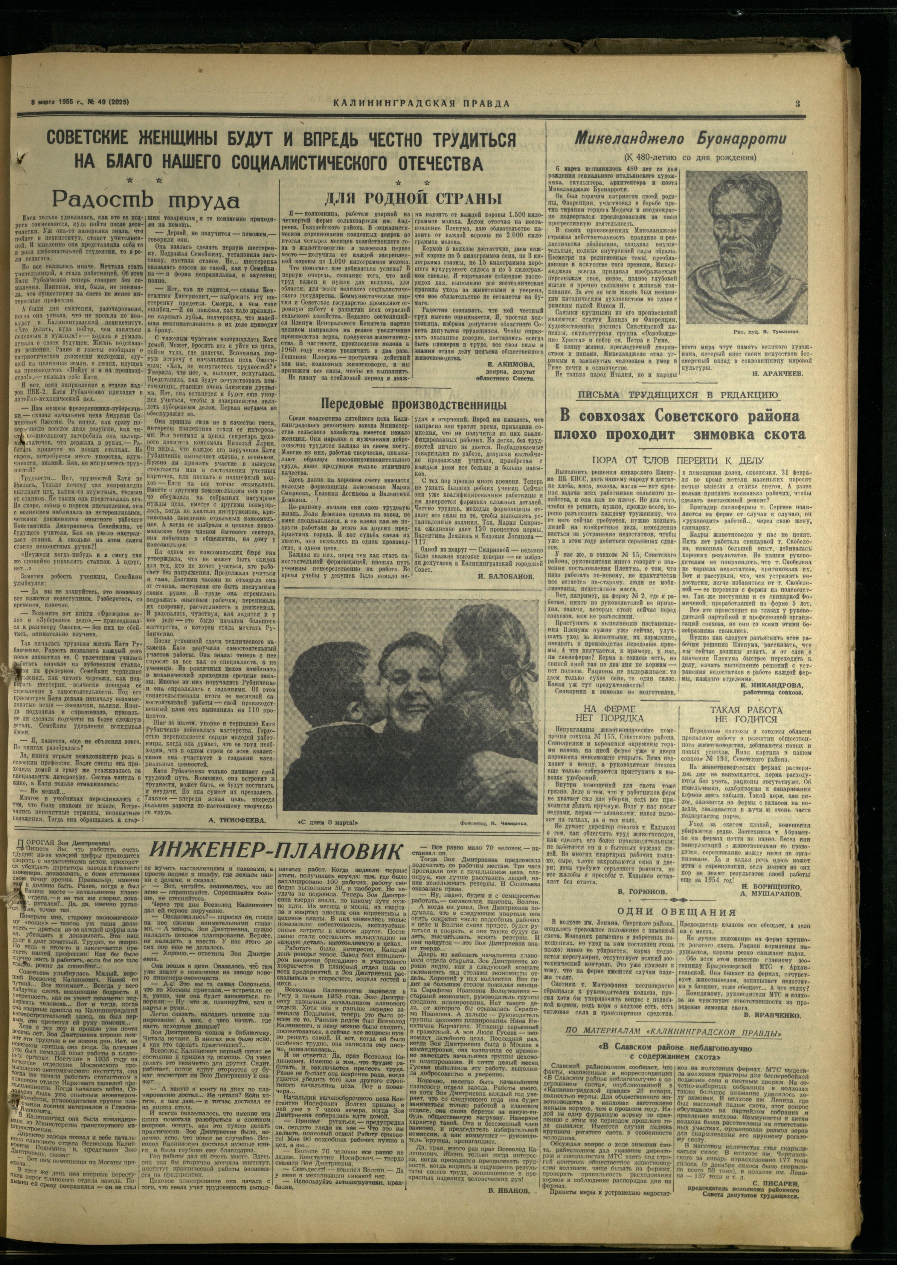49-3-55-3
