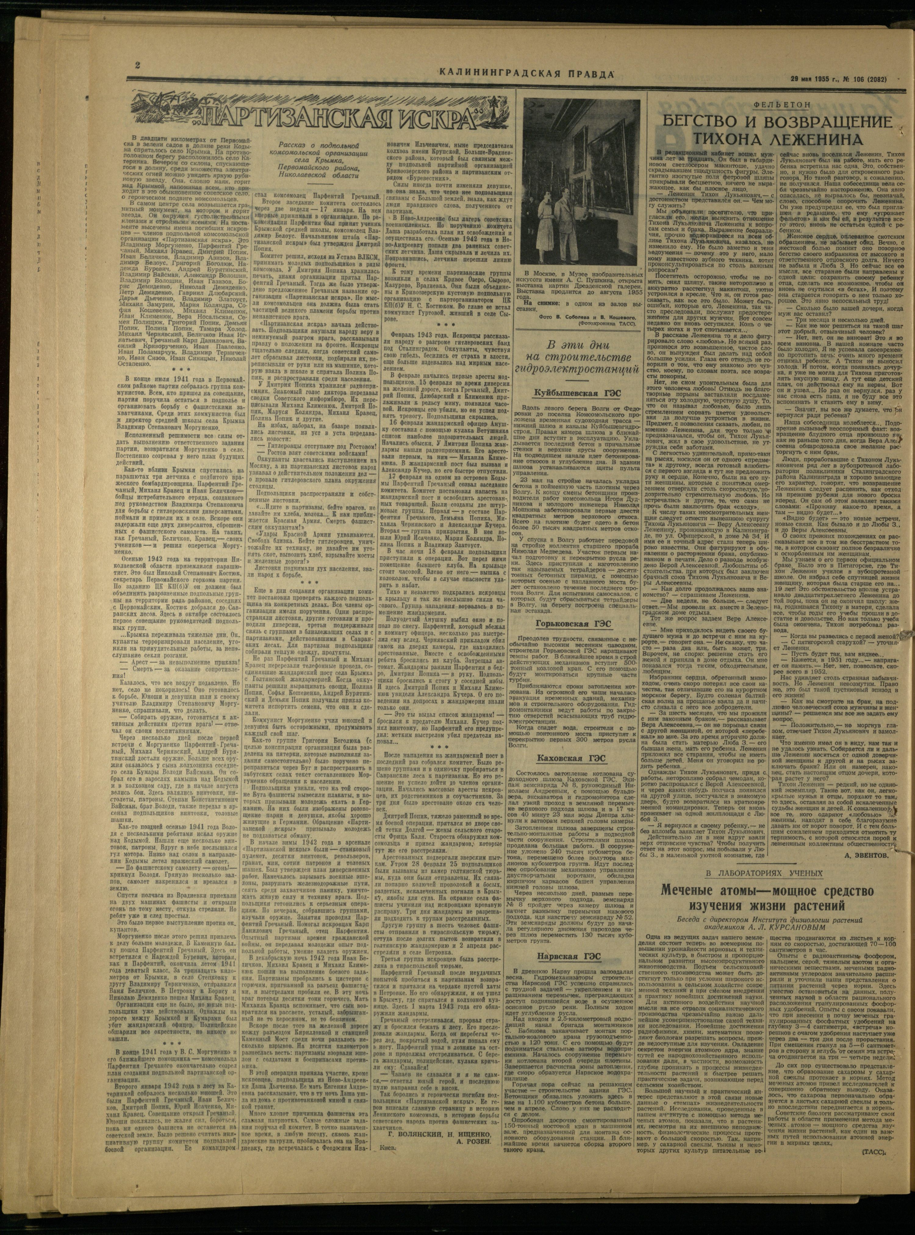 106-5-55-2