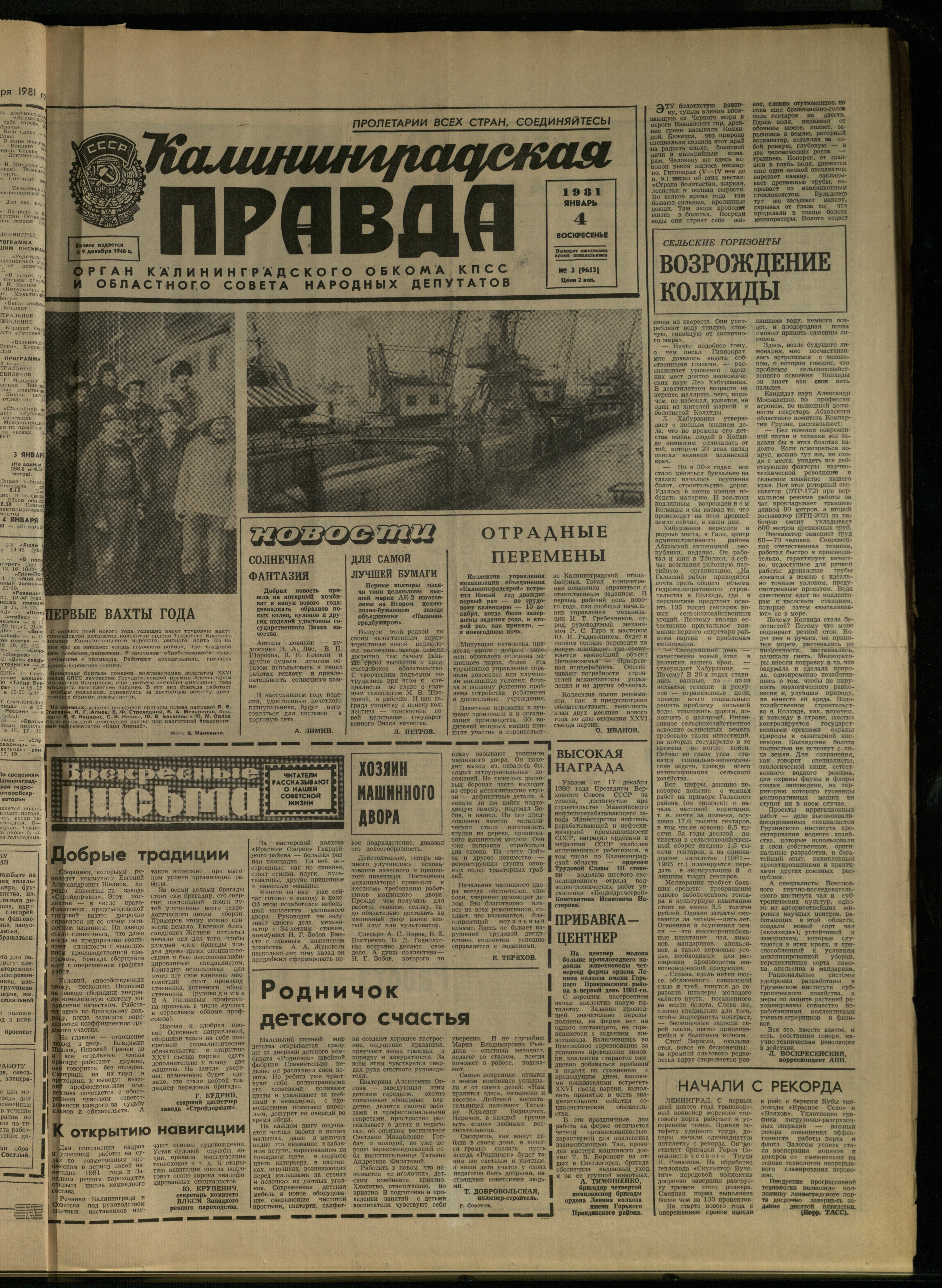 3-1-81-1