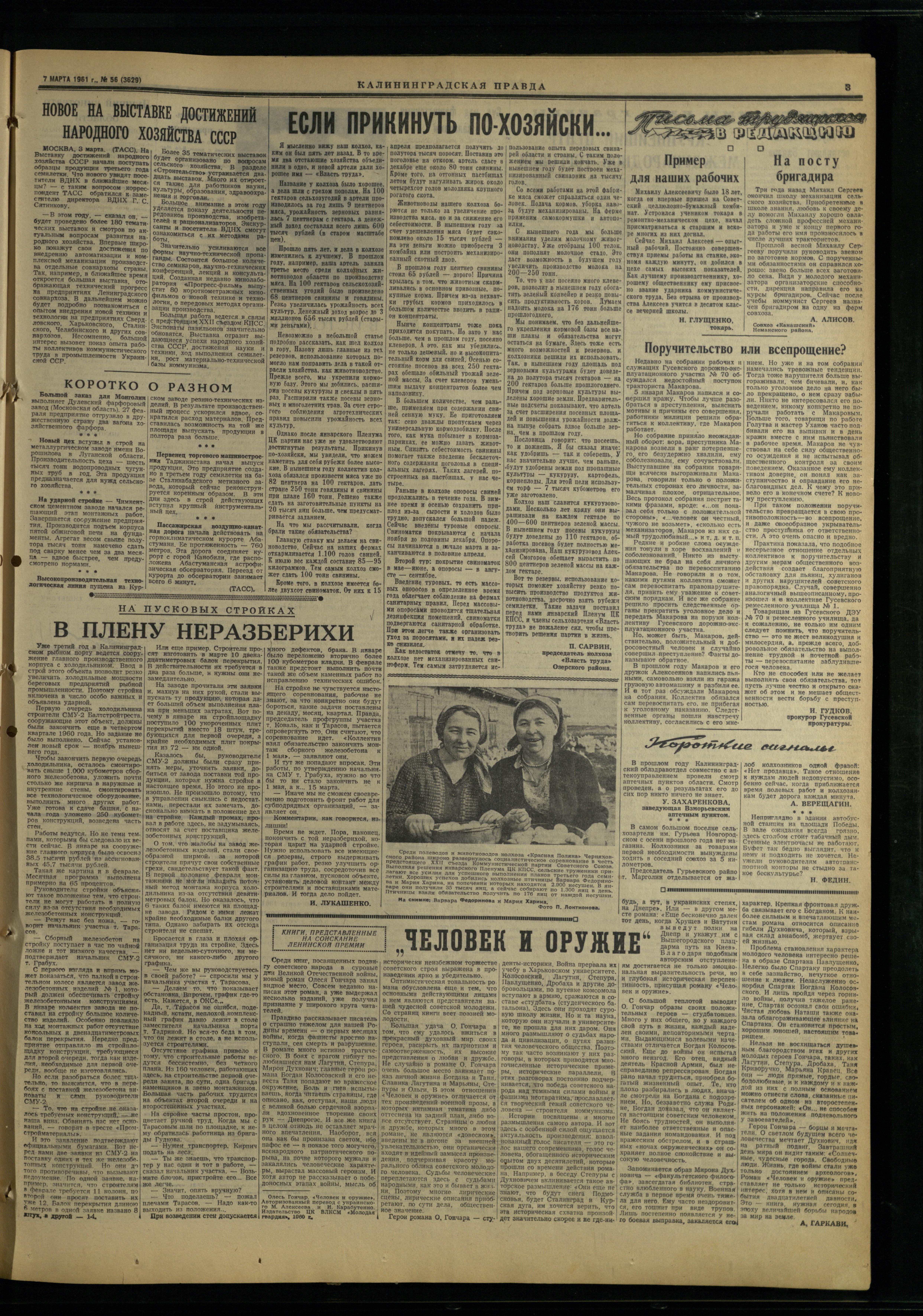 56-3-61-3