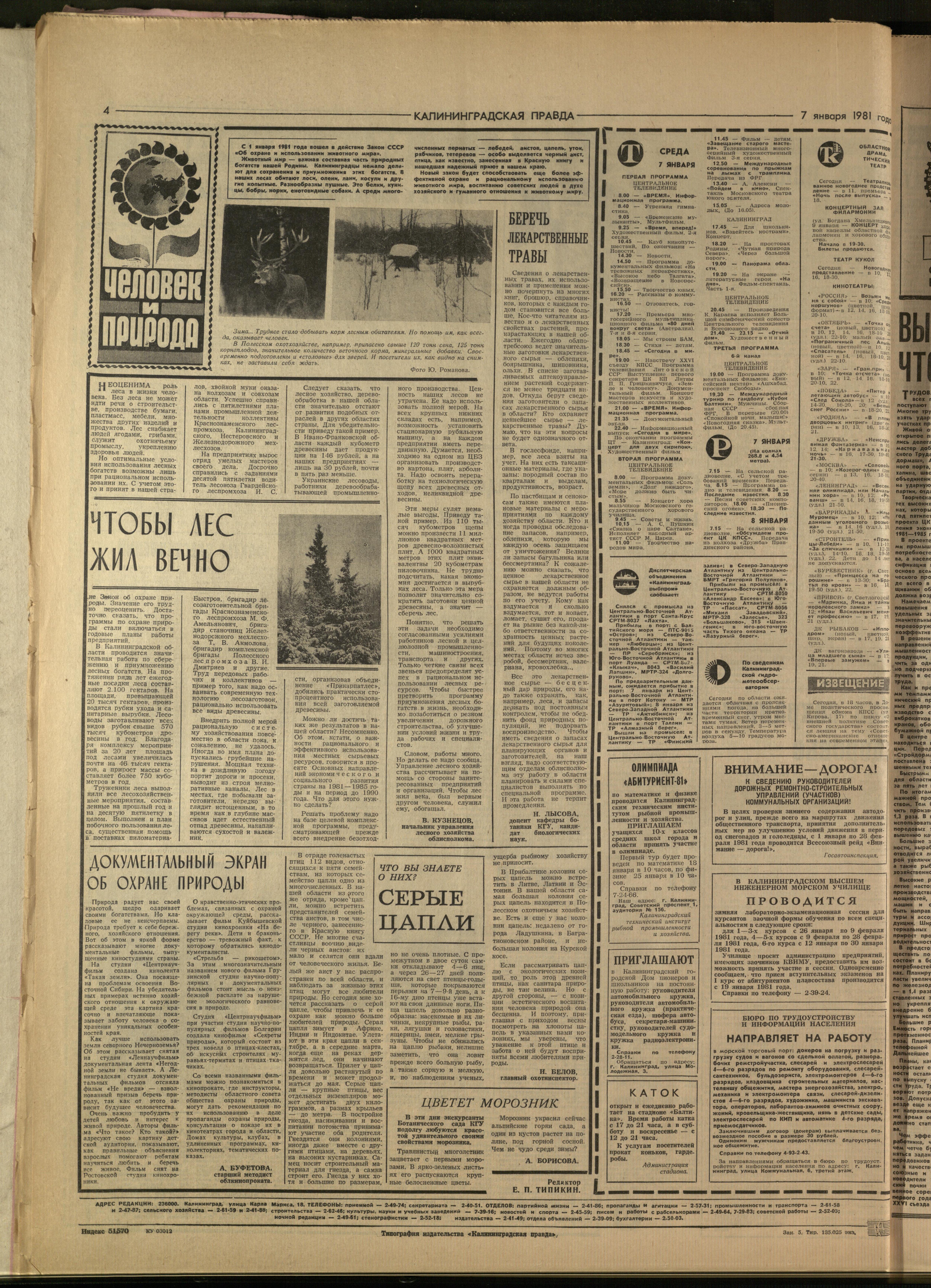 5-1-81-4
