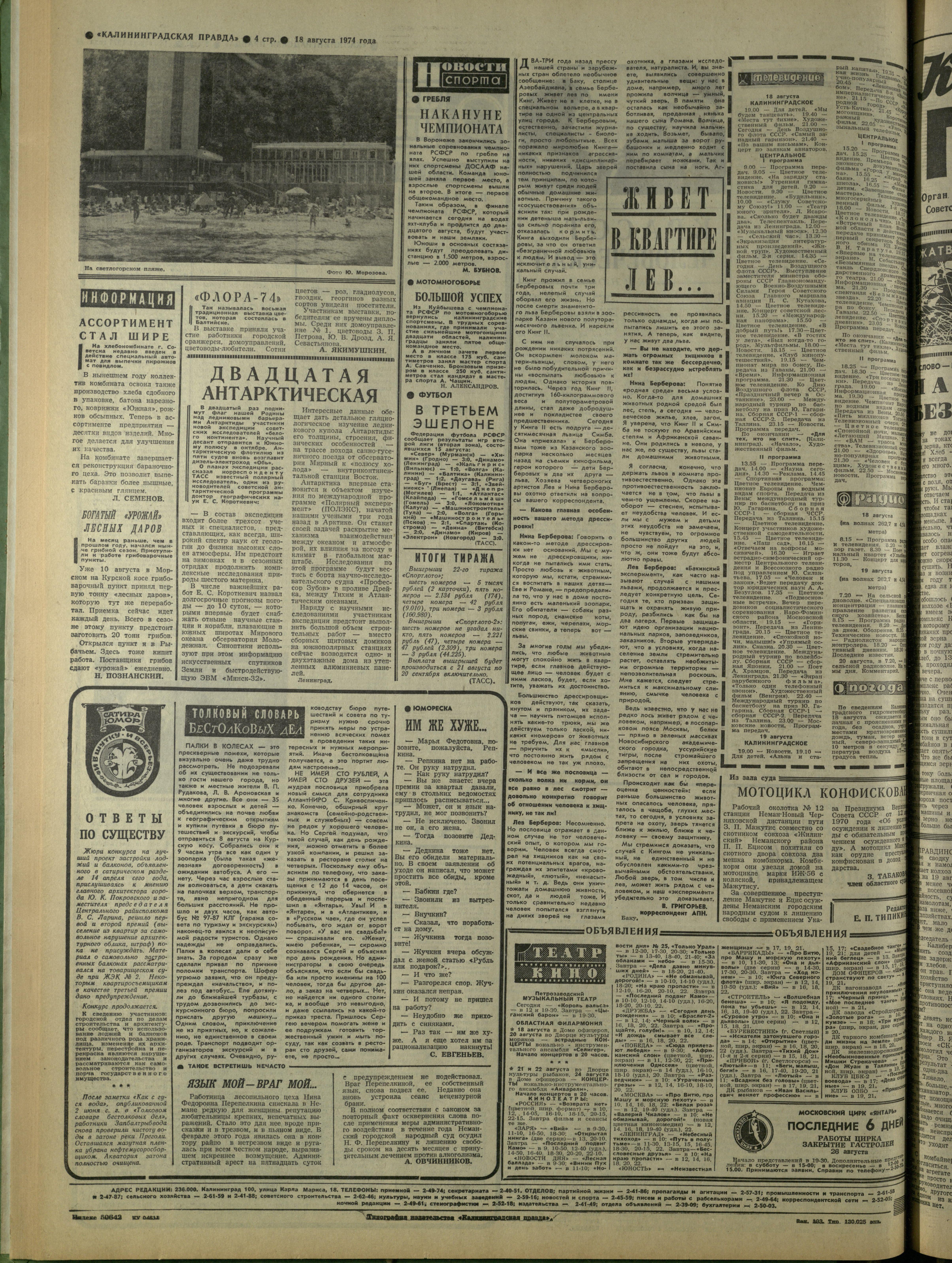 193-8-74-4
