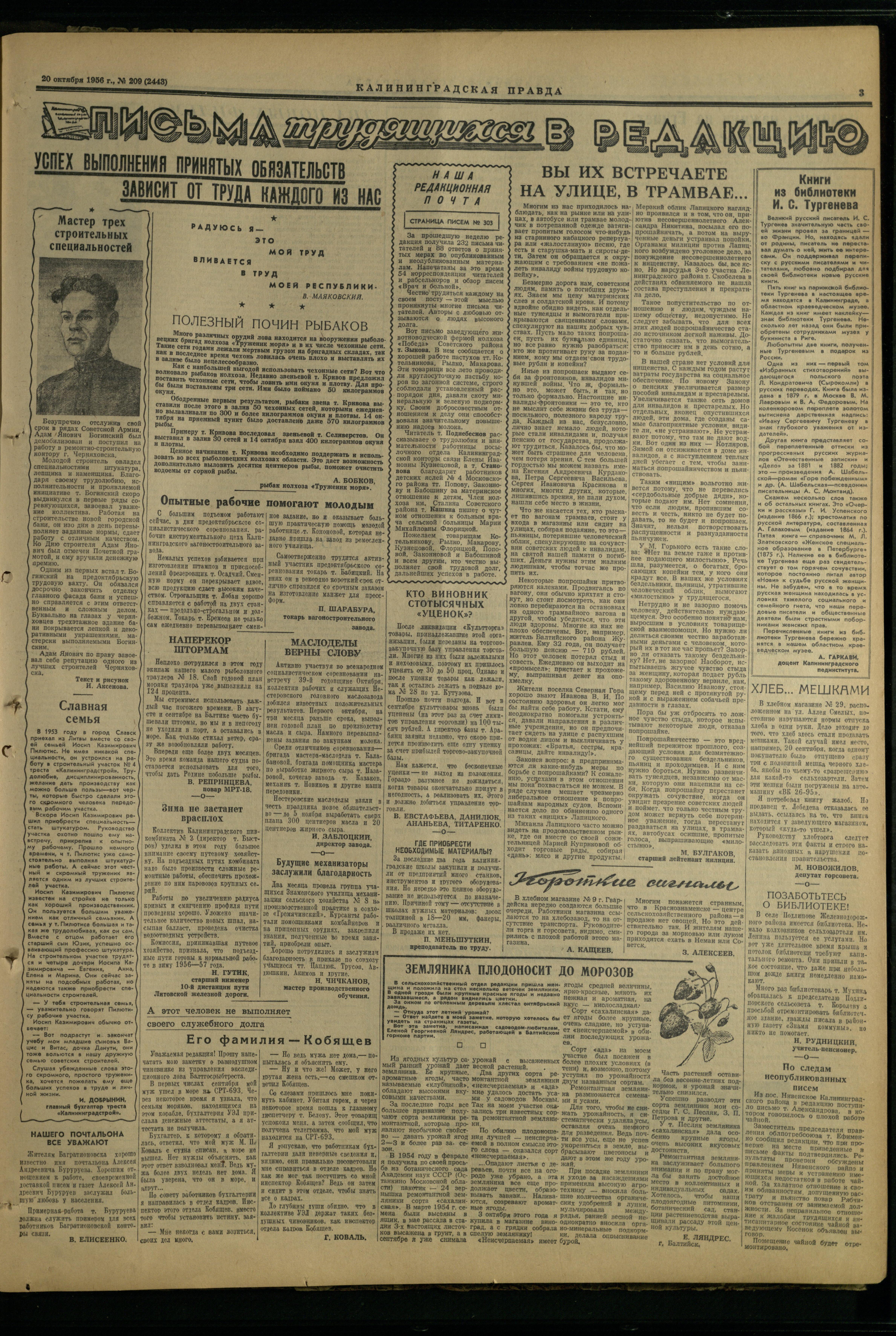 209-10-56-3