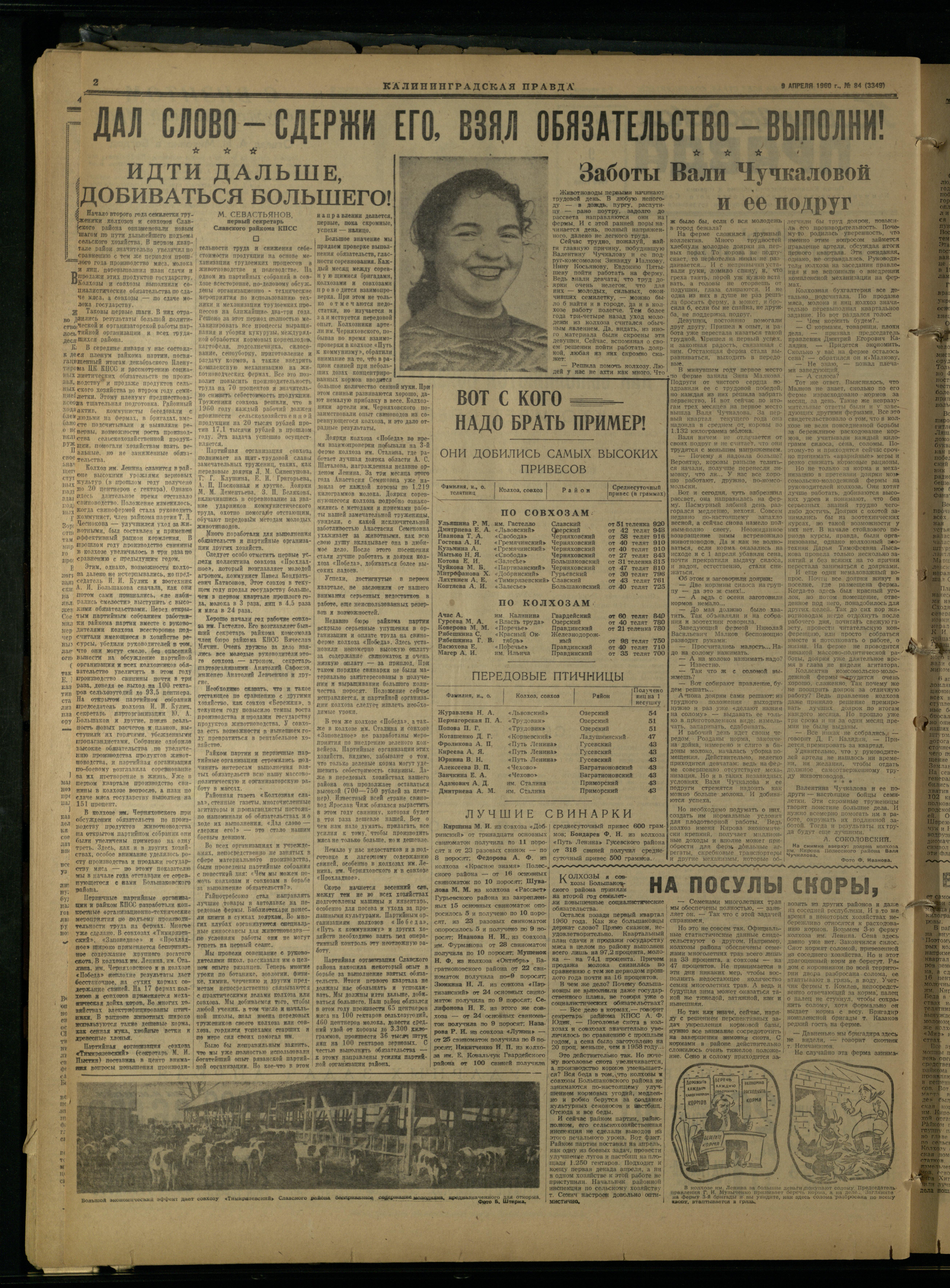 84-4-60-2