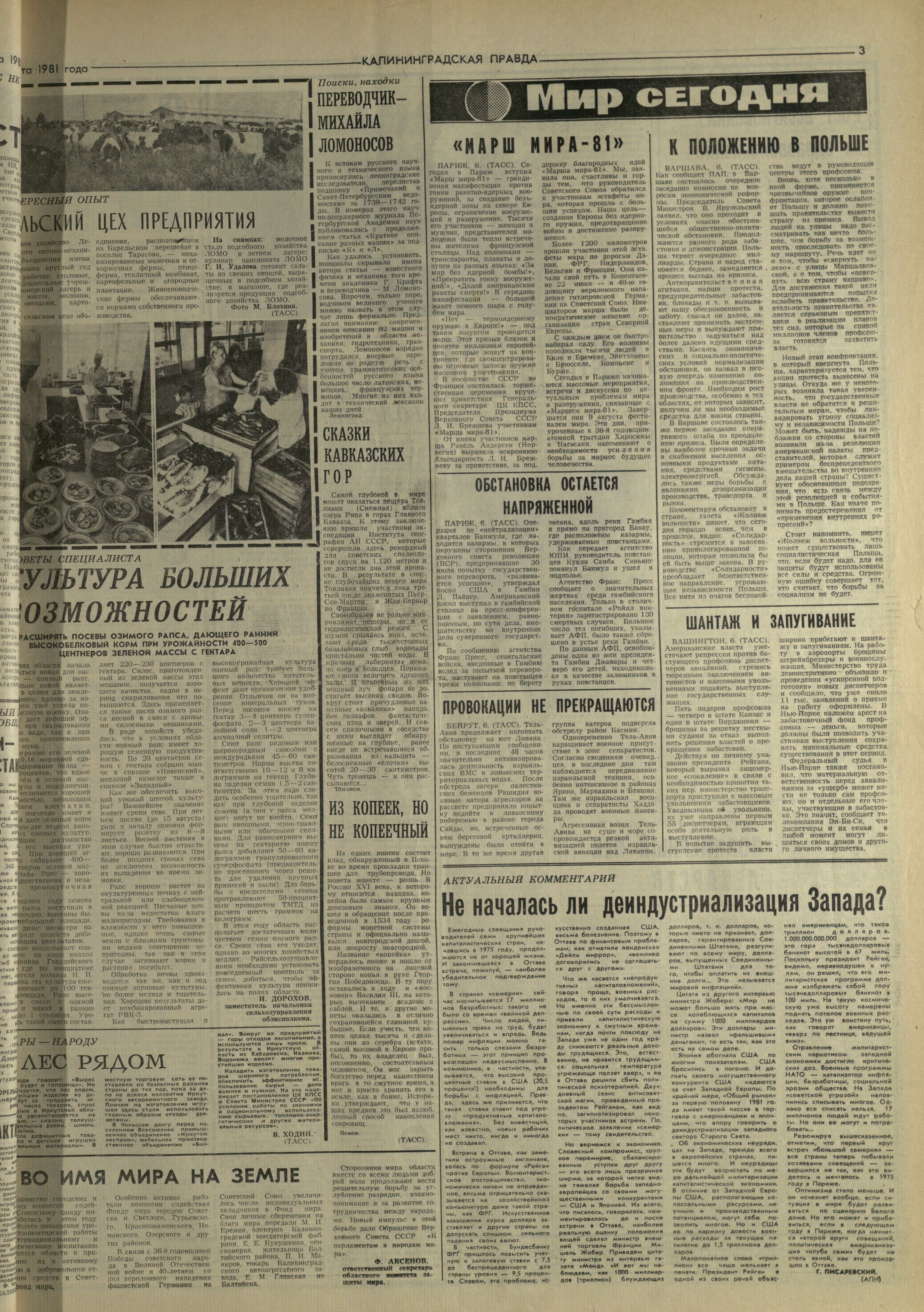 181-8-81-3
