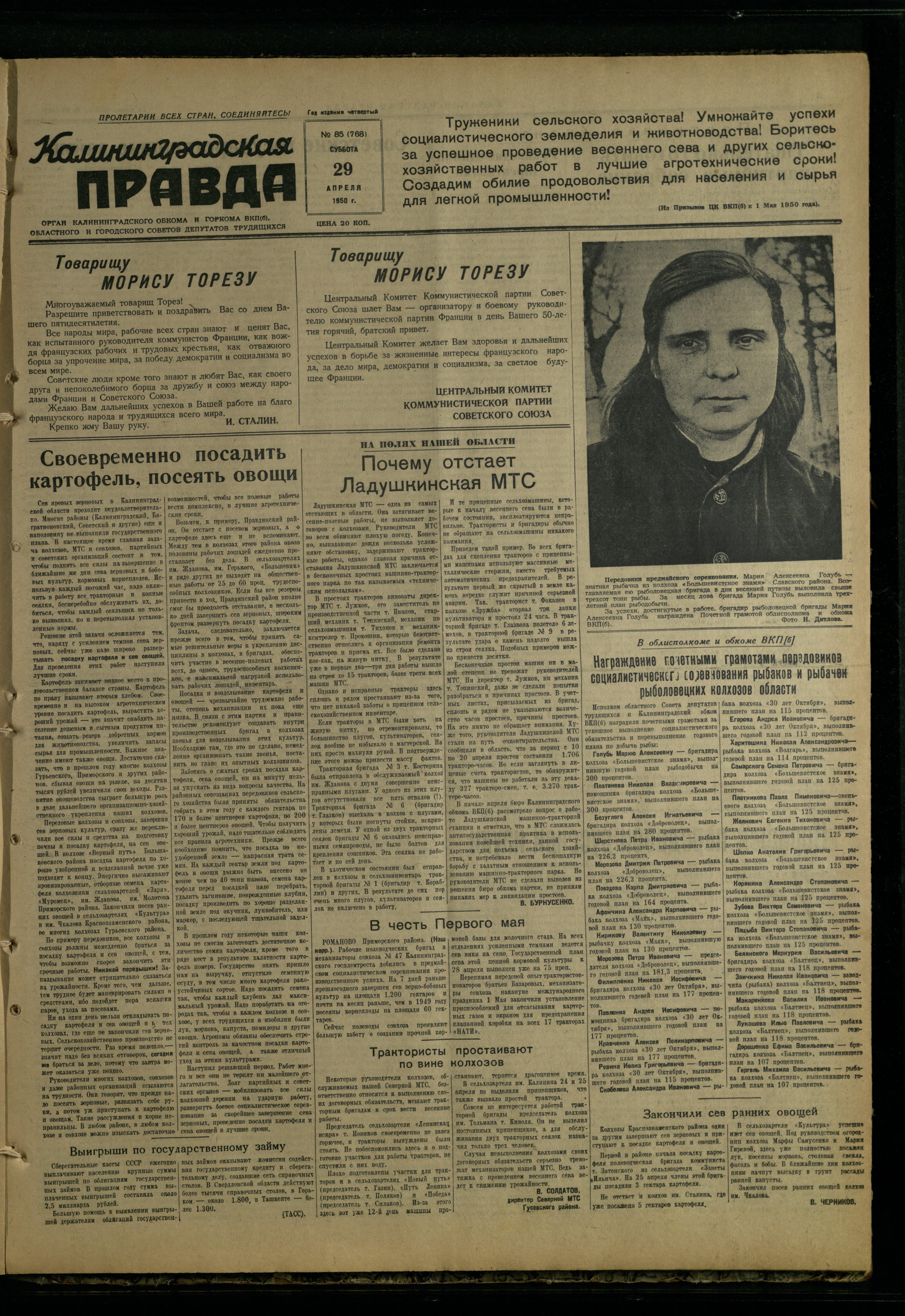 85-4-50-1