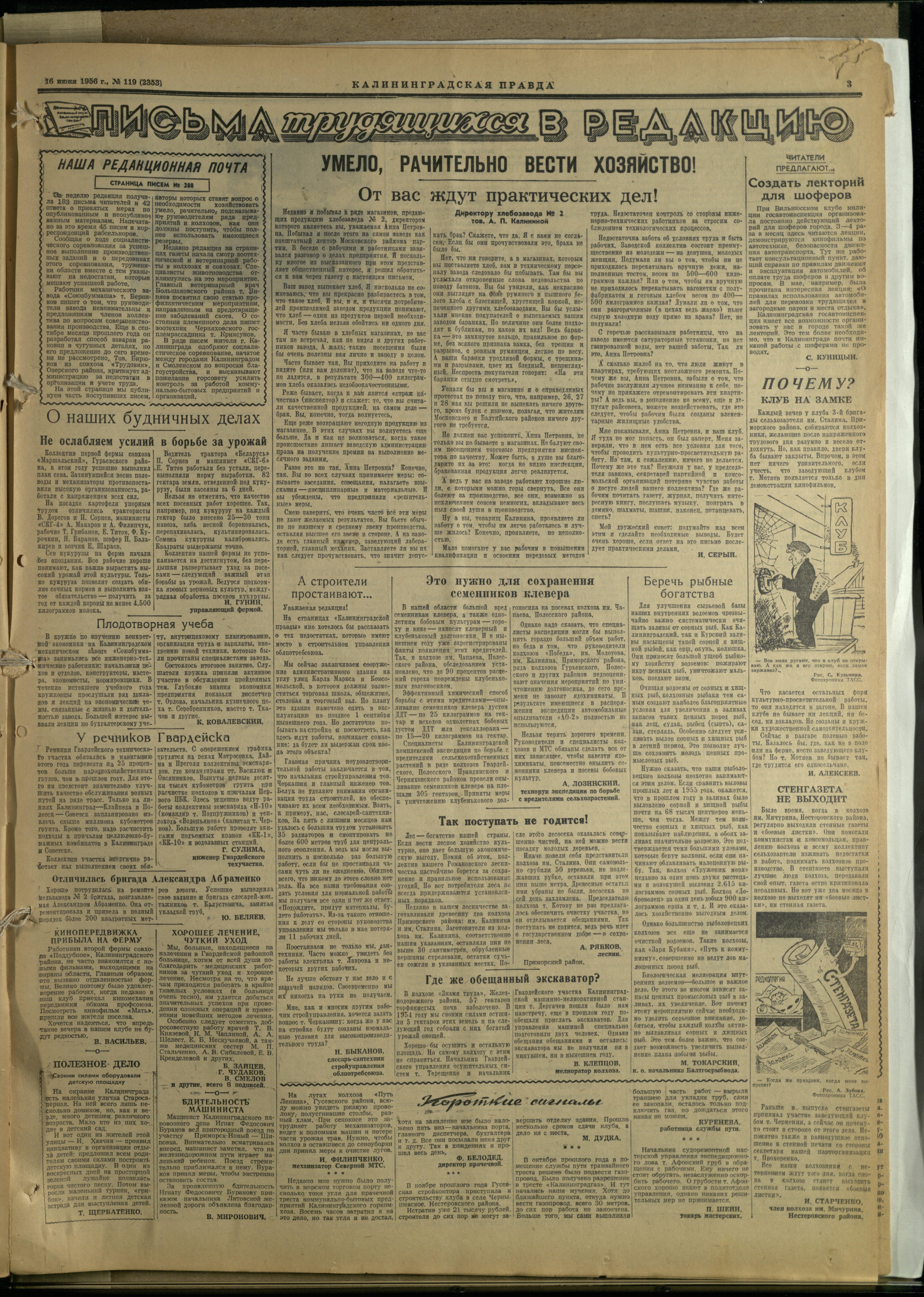 119-6-56-3