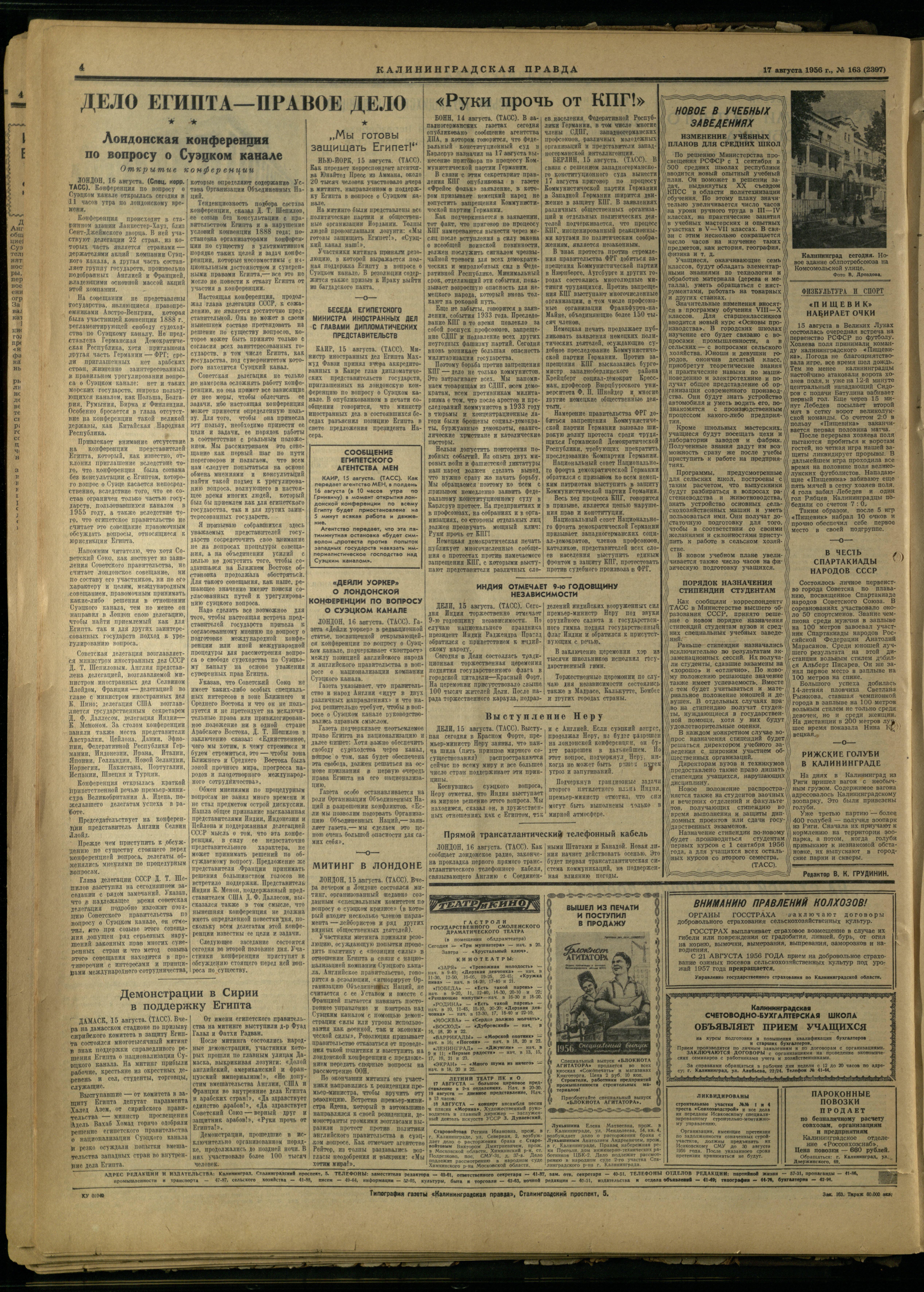 163-8-56-4